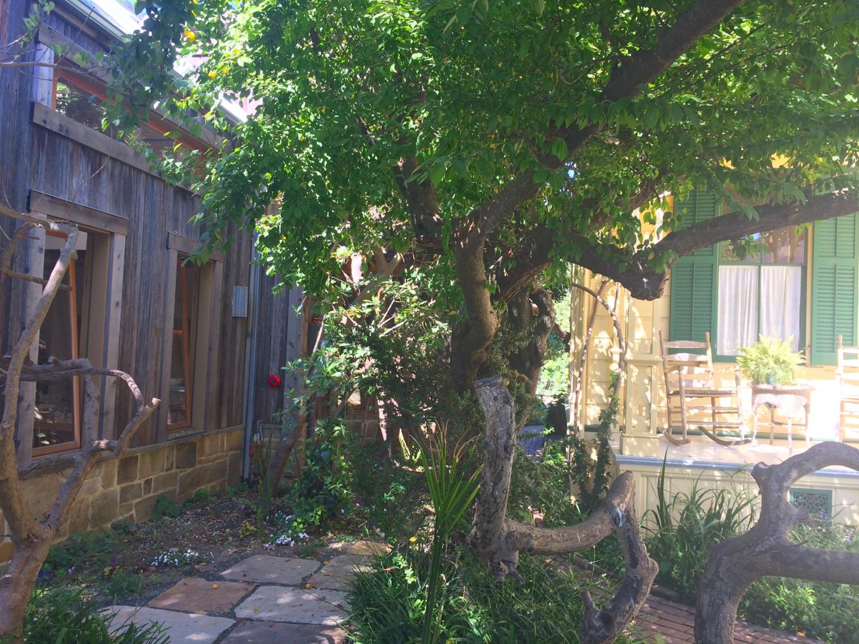 The Squibb Houses