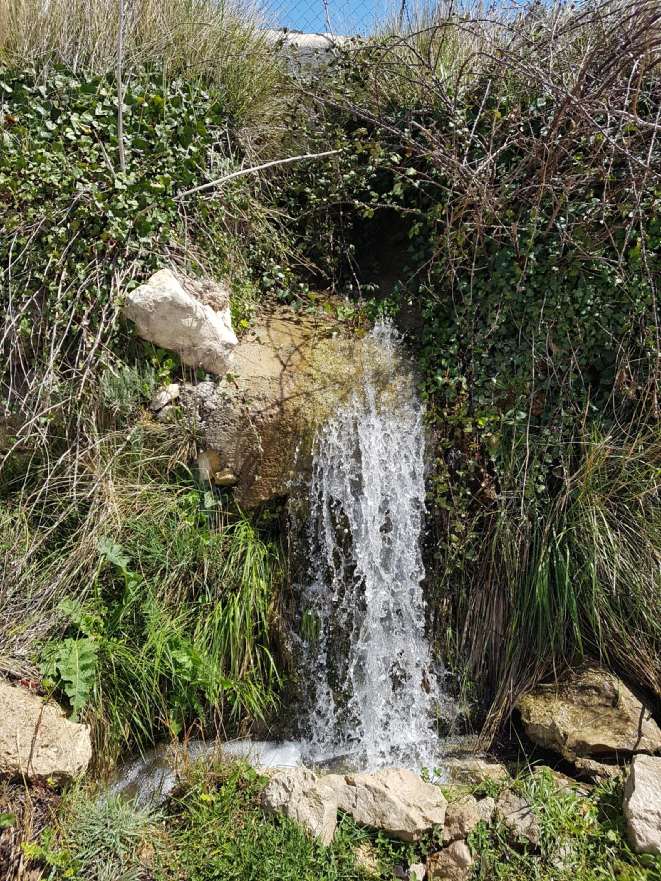 Finca Los Villegas