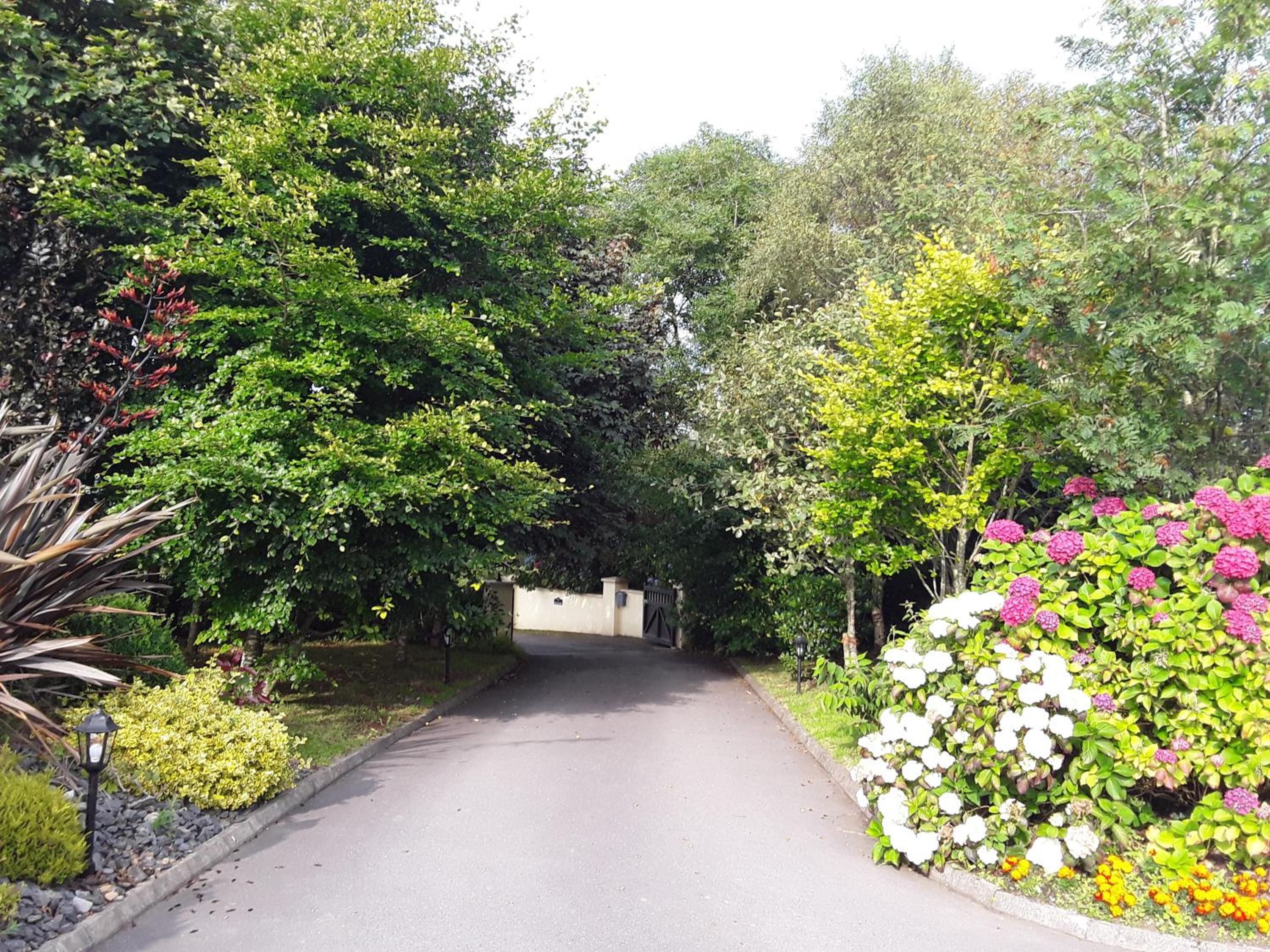 Ard na Greine Bed & Breakfast Ballylickey view 2