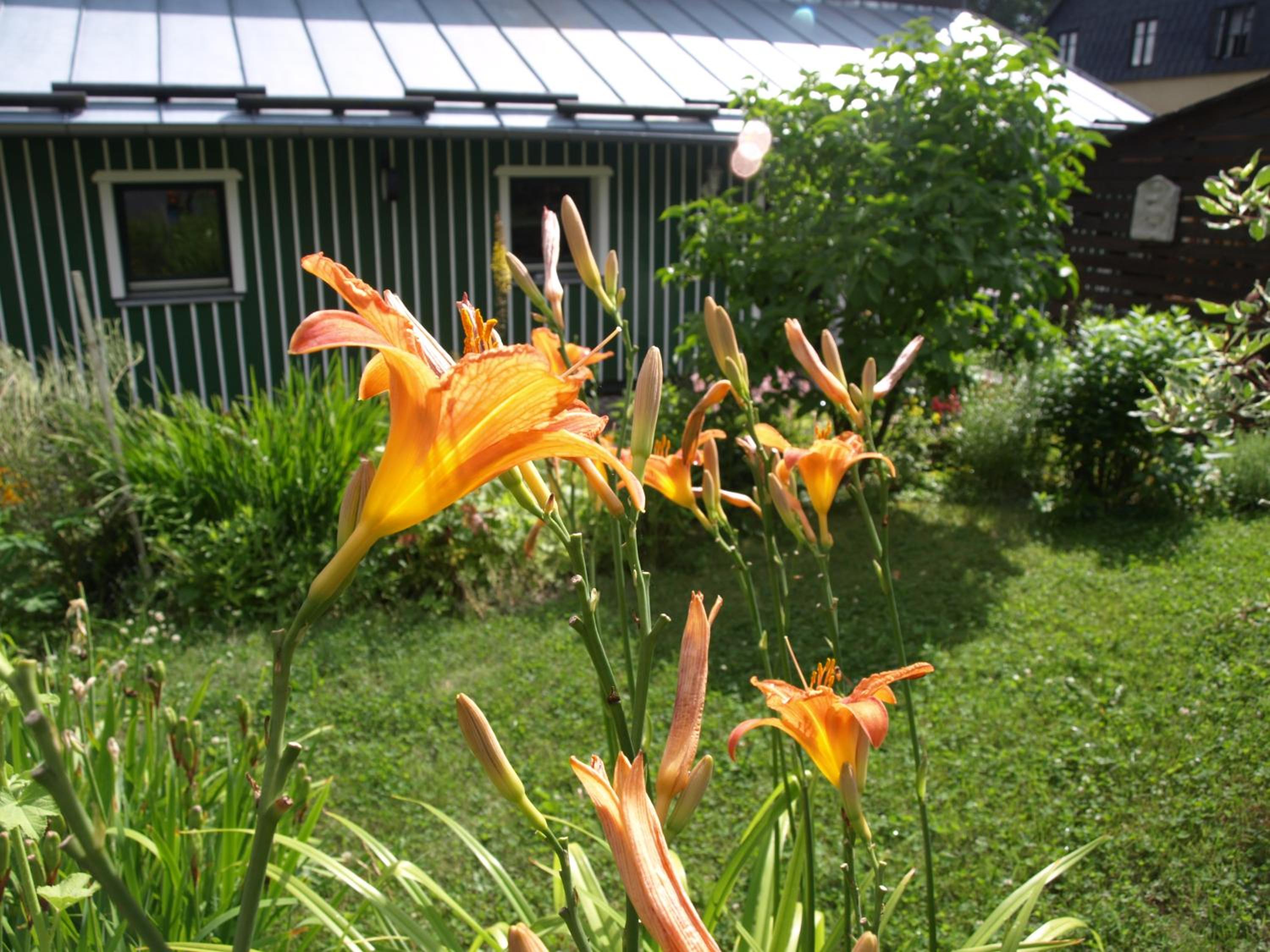 Guest House LUFT Sněžník