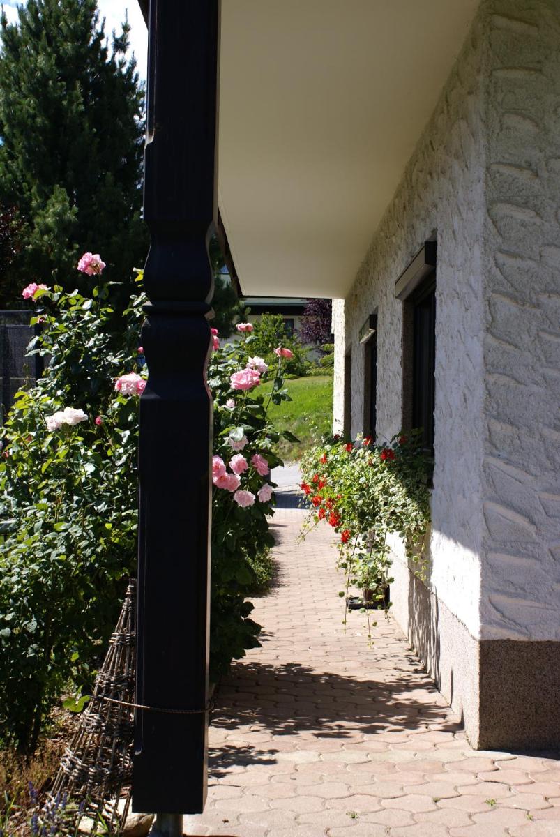 Photo 45