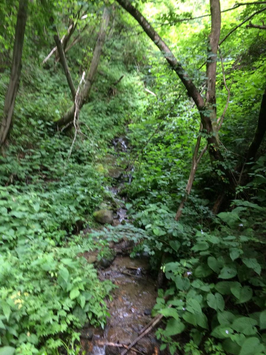 Photo 24
