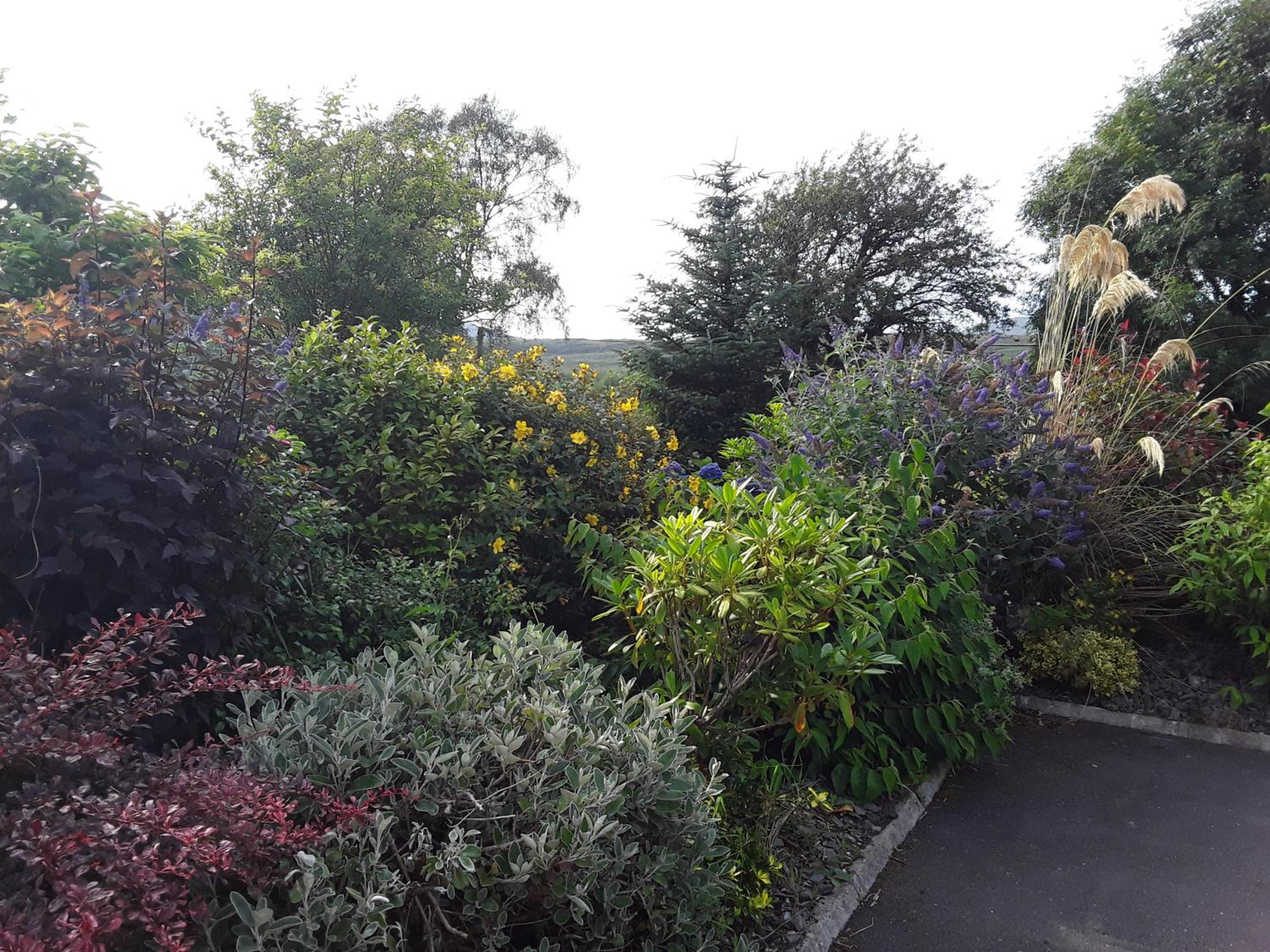 Ard na Greine Bed & Breakfast Ballylickey view 3