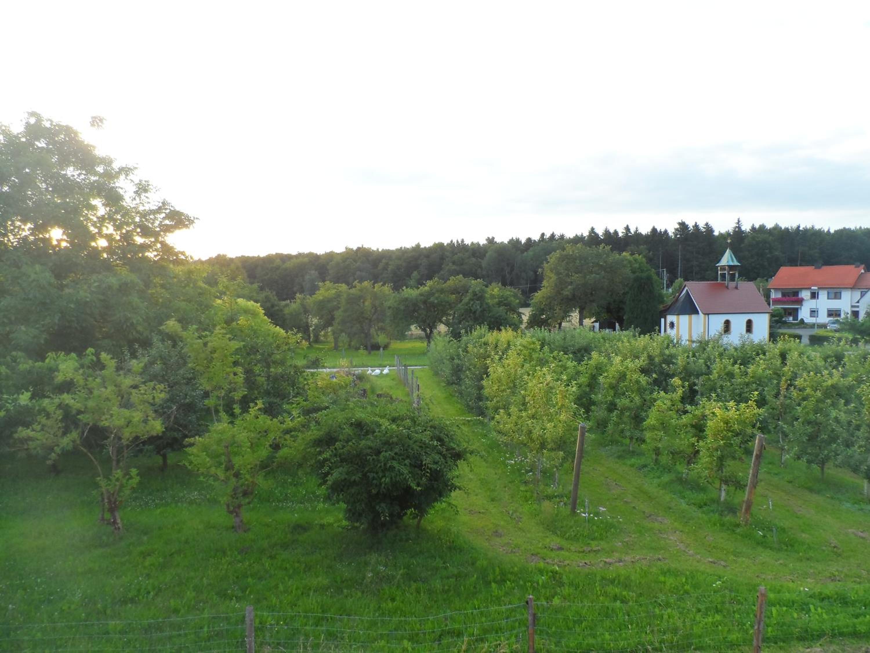 Pension am Kirschgarten