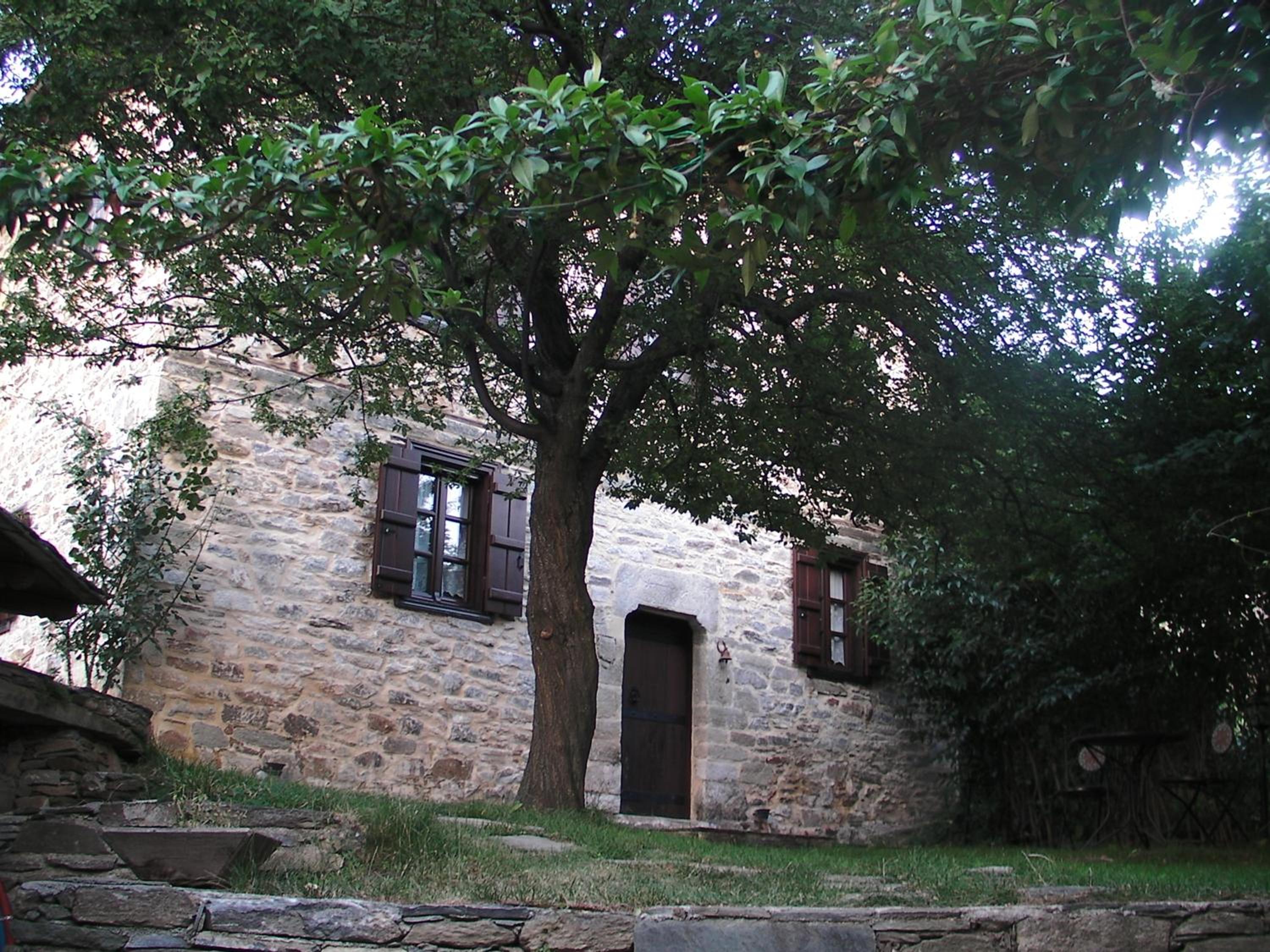 Photo 39
