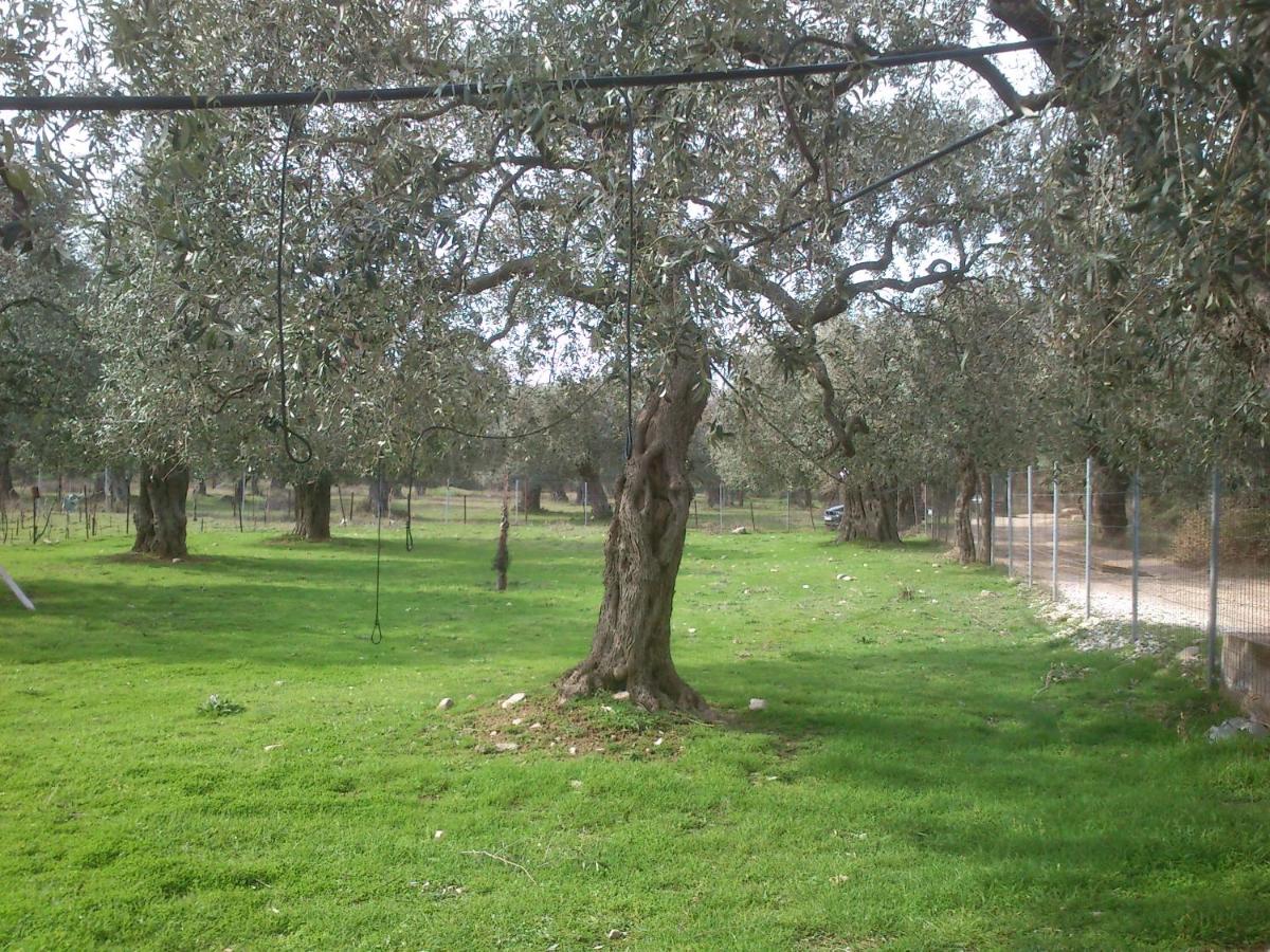 Photo 34