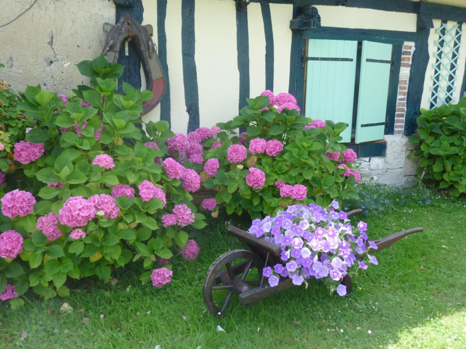 Photo 47