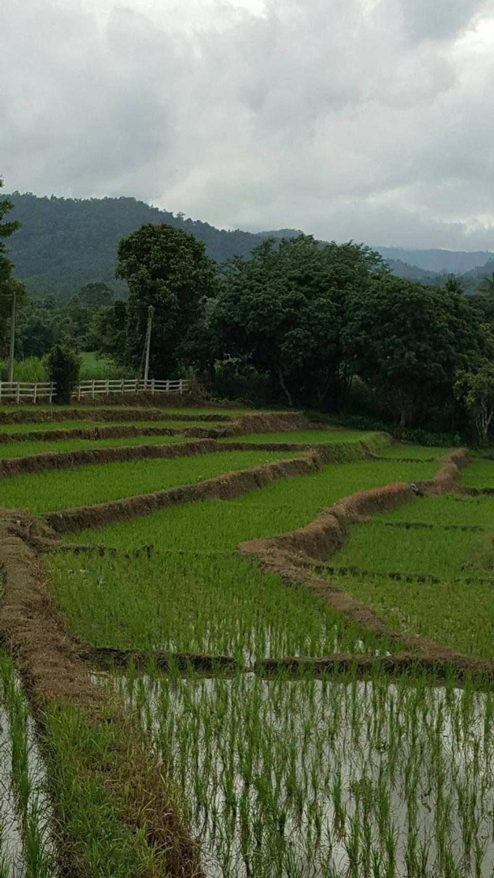 Buraphat Resort