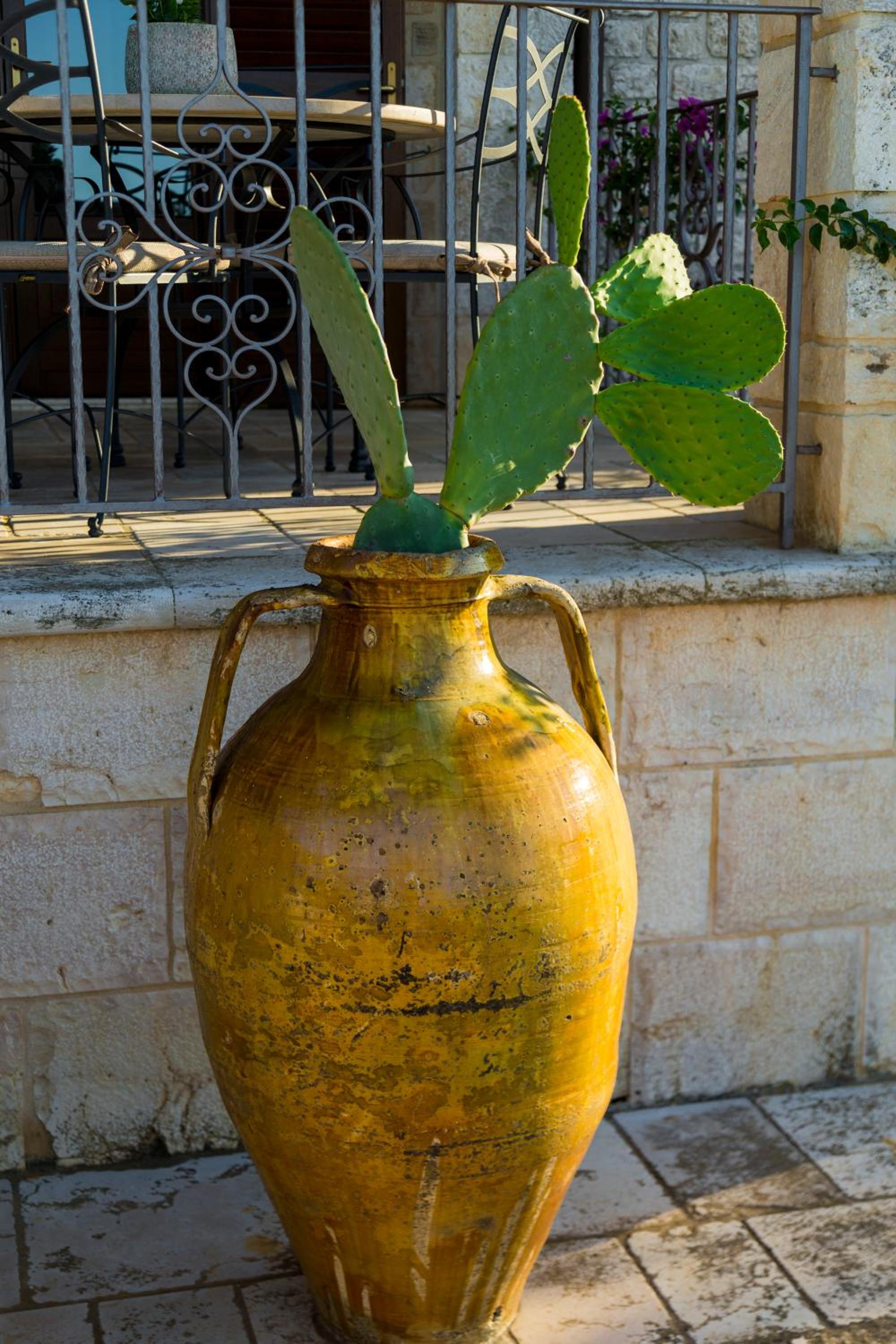 Villa Il Mio Paradiso