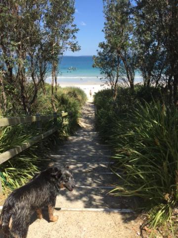 Paradise by the Bay