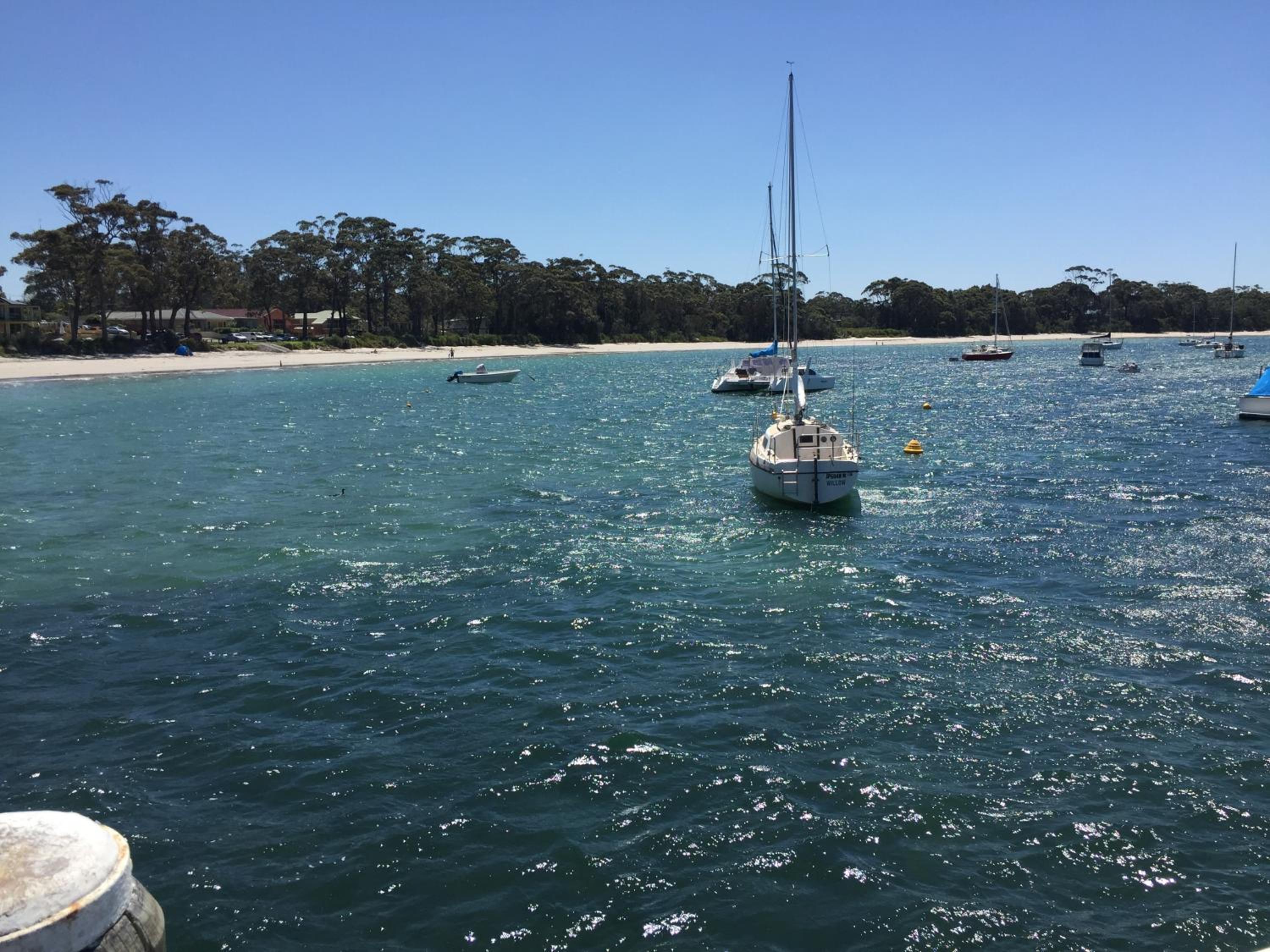 Paradise by the Bay