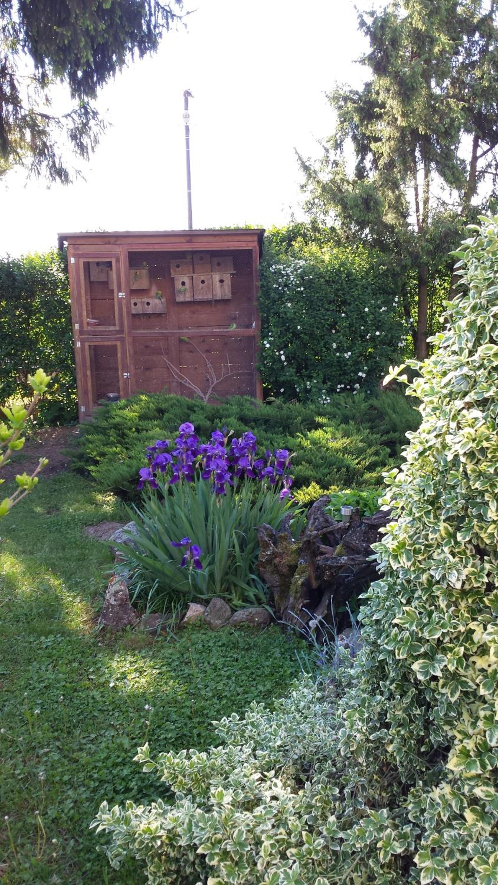 Photo 18
