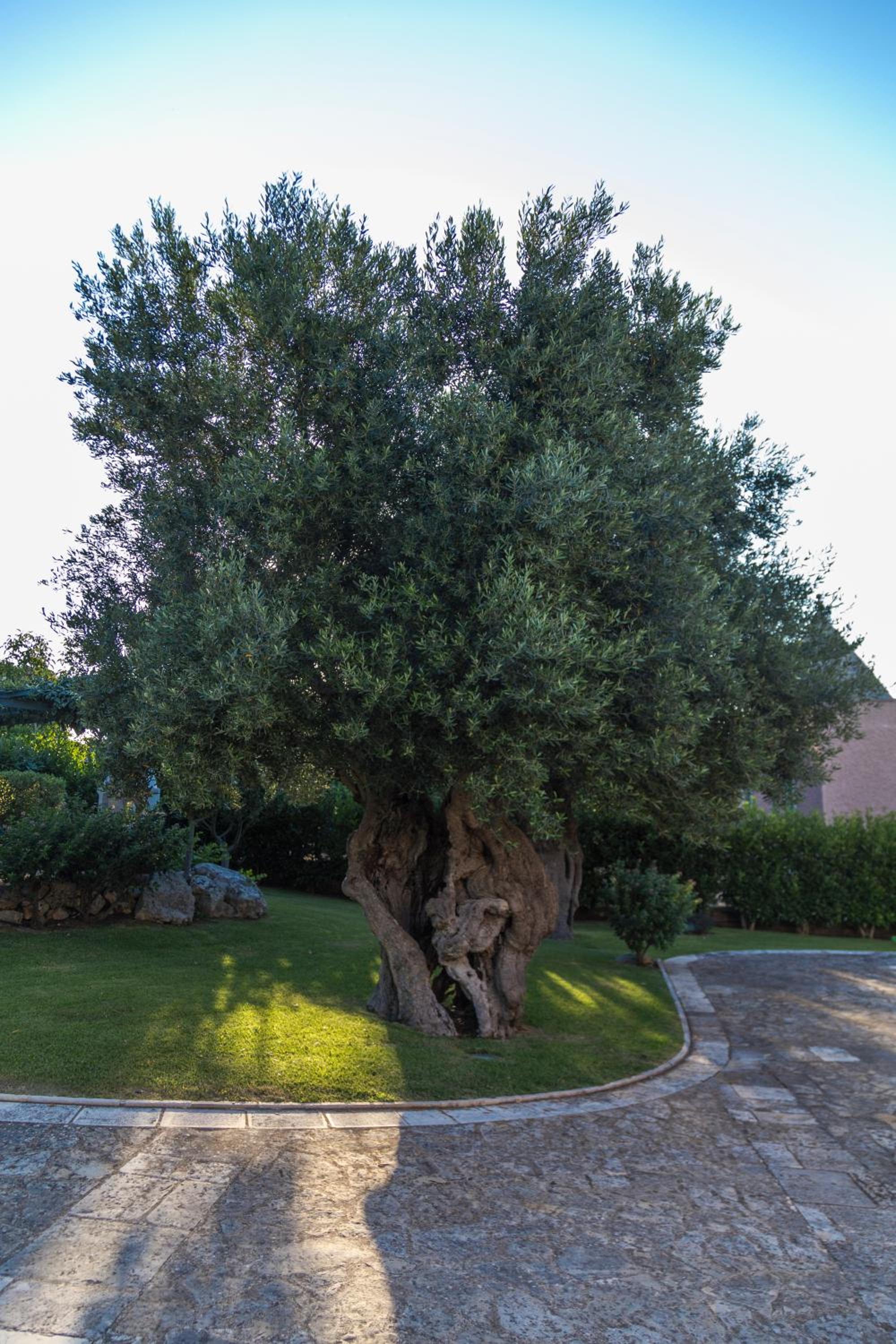 Villa Il Mio Paradiso photo 4