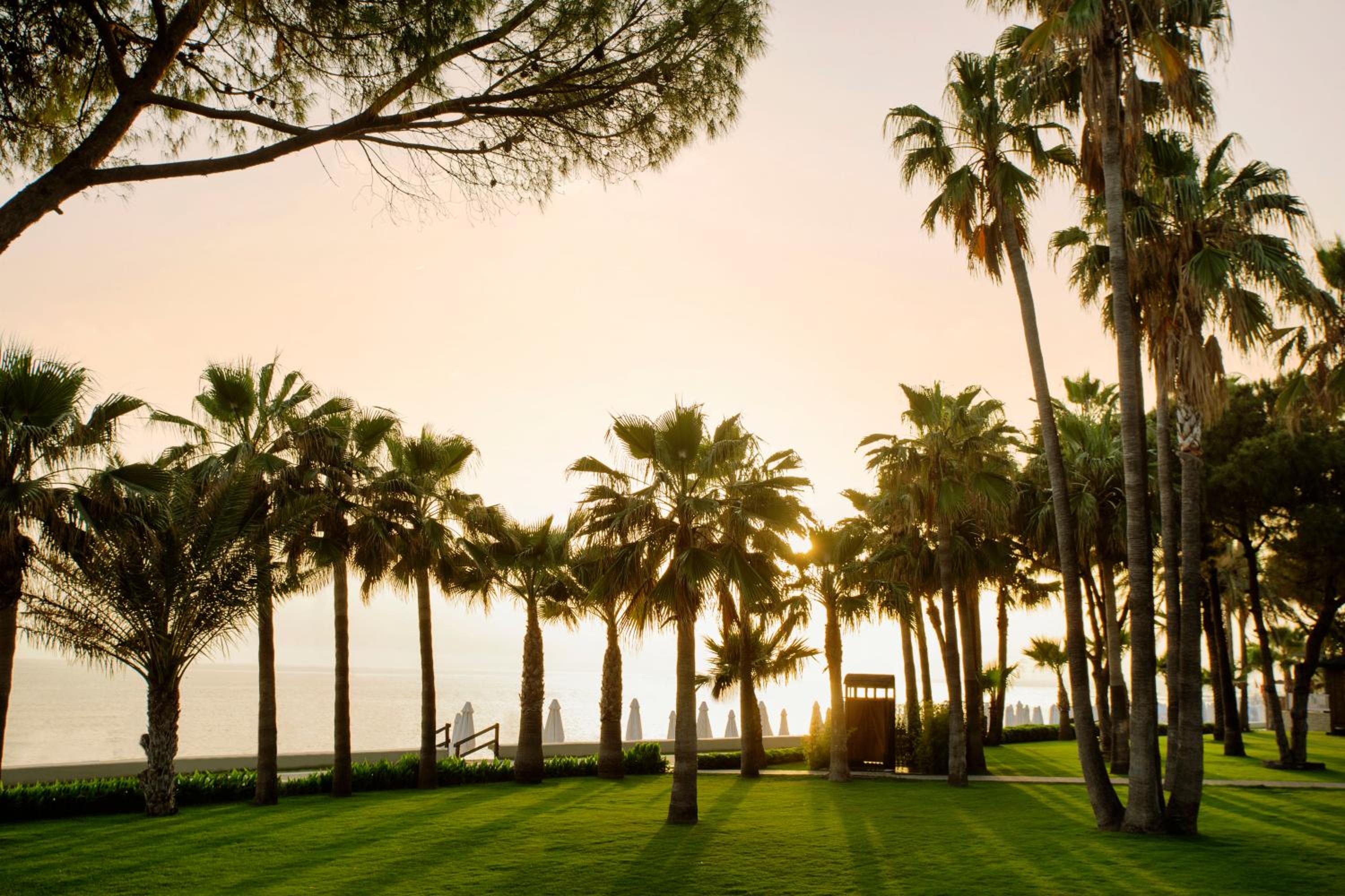 Acanthus Cennet Barut Collection - Ultra All Inclusive - Image 140