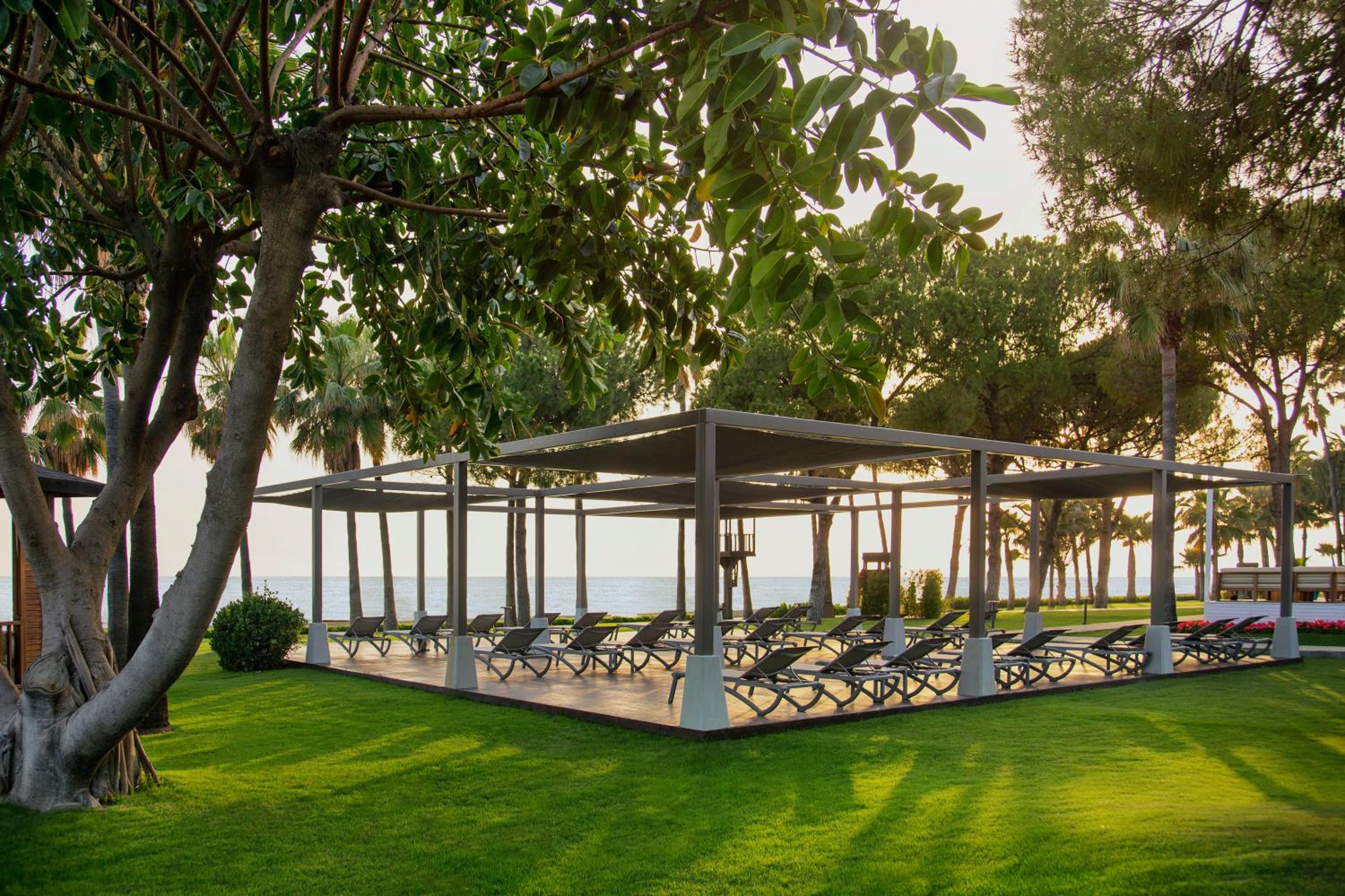 Acanthus Cennet Barut Collection - Ultra All Inclusive - Image 121