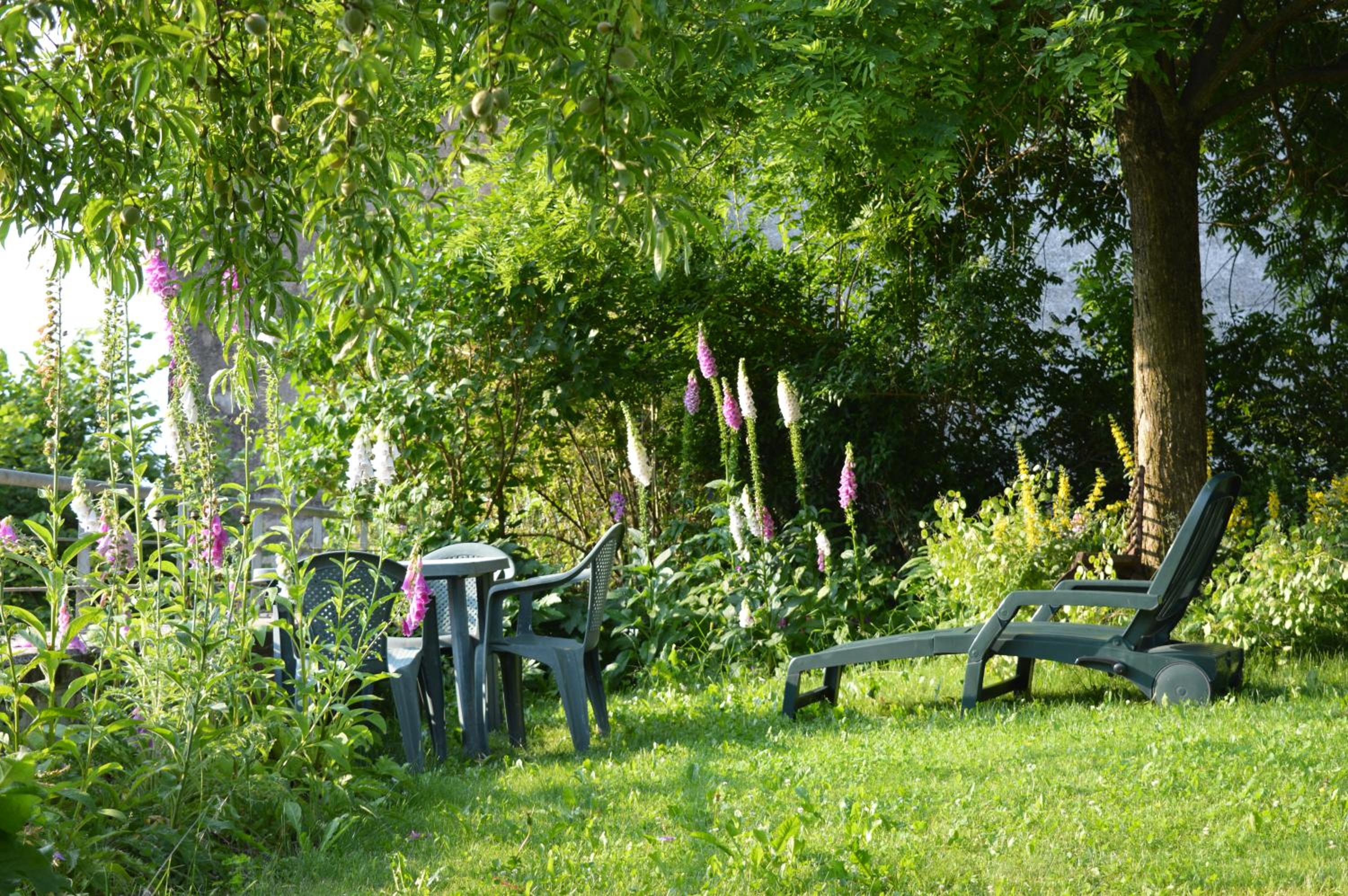 B&B Giardini dell'Ardo