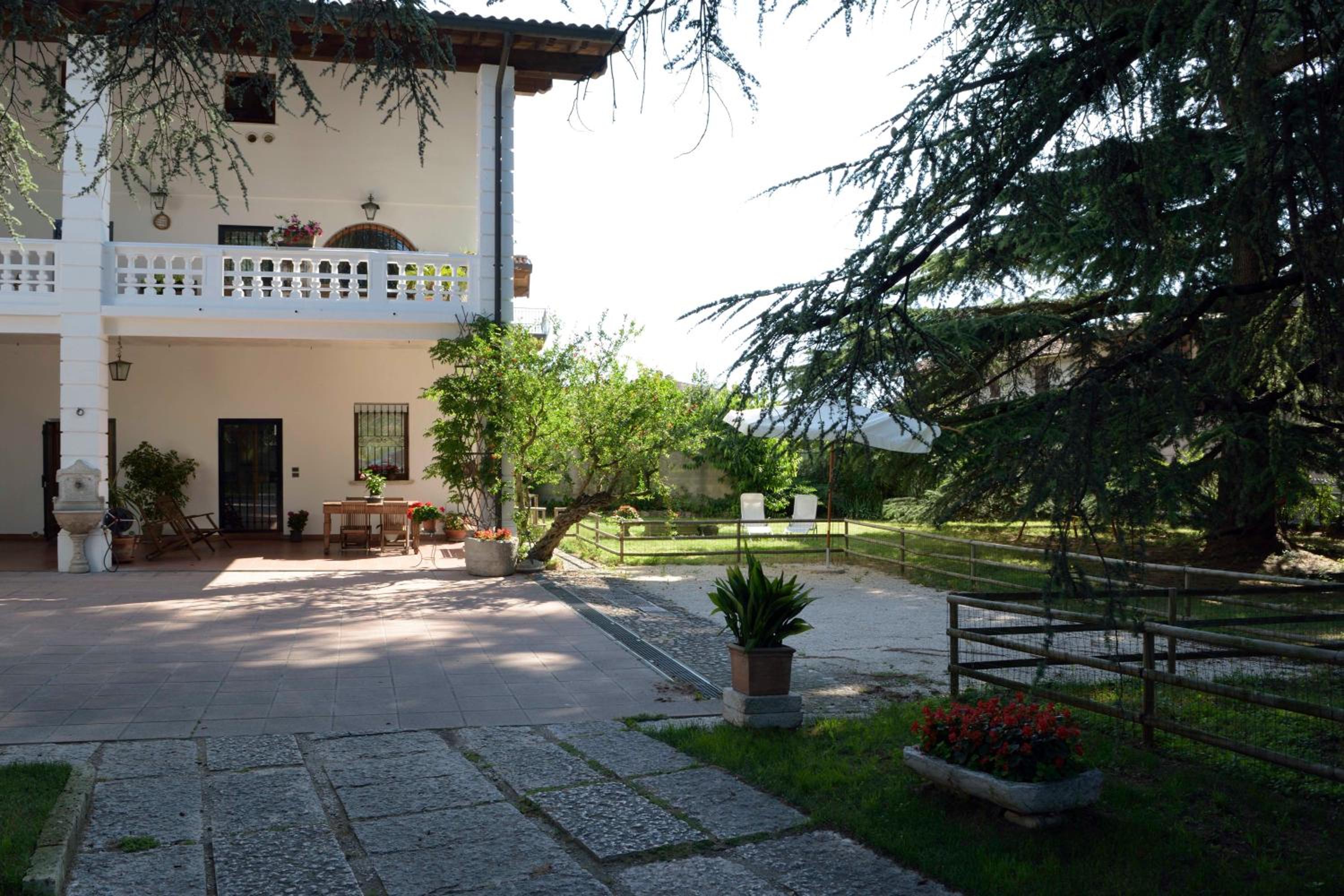 Photo 42