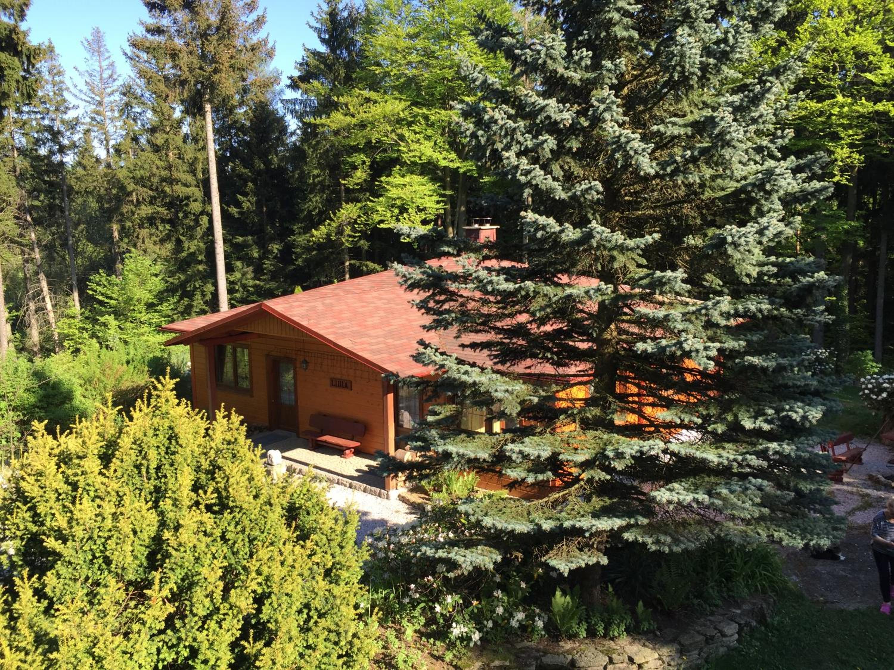 Photo 16