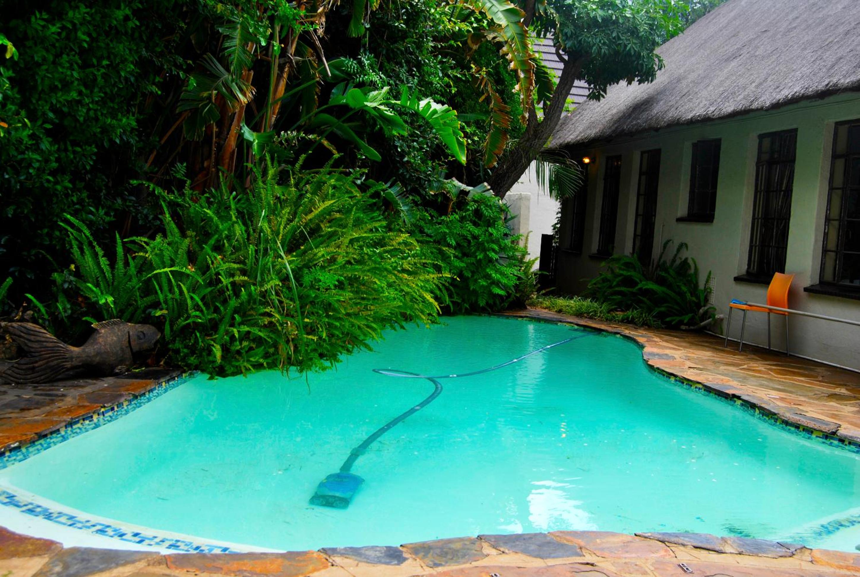 Johannesburg Vacations - Birch Tree Cottage - Property Image 37
