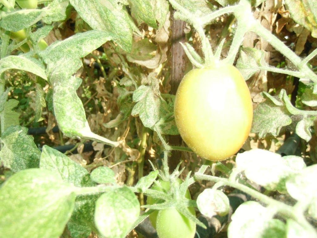 Photo 28