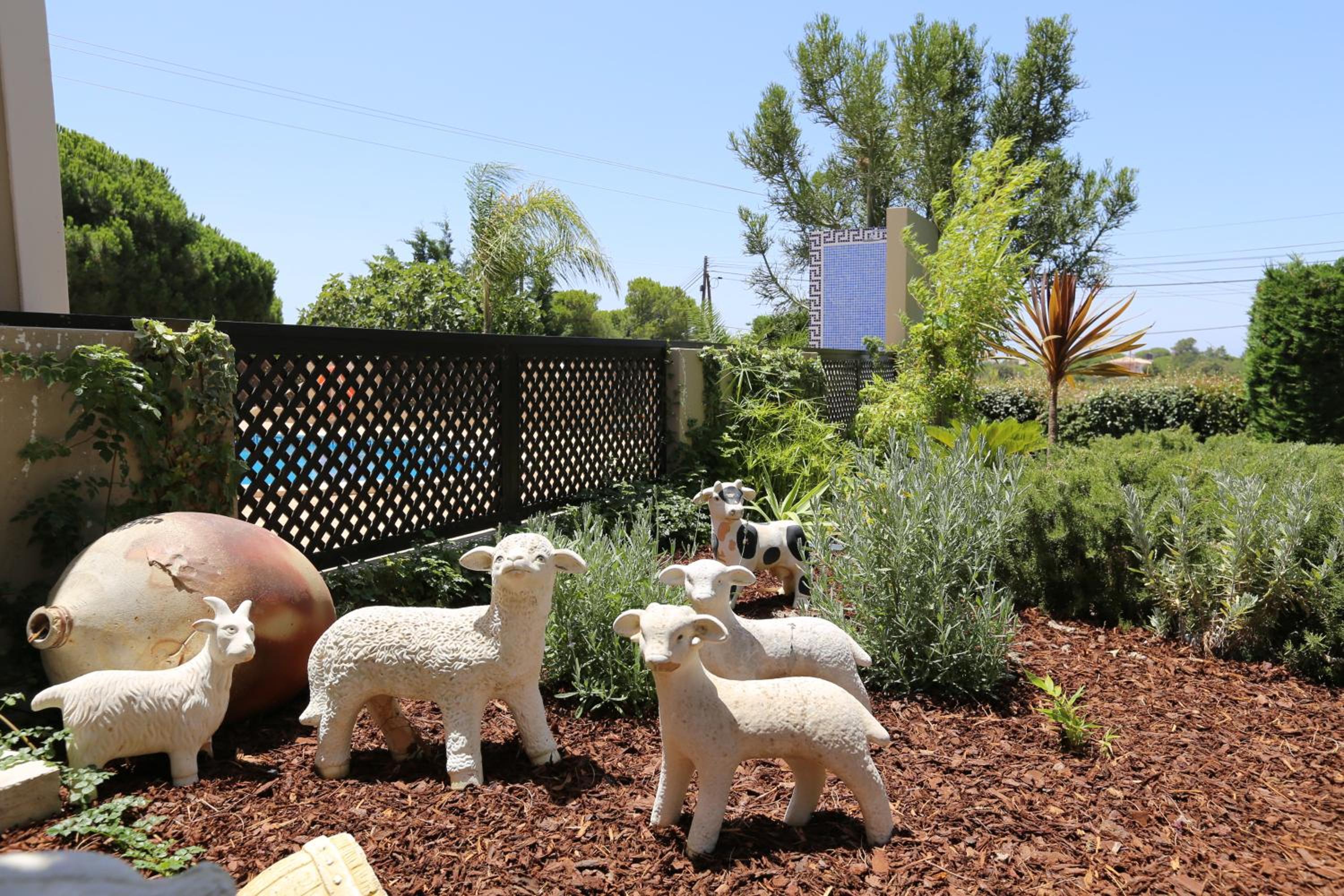 Photo 22