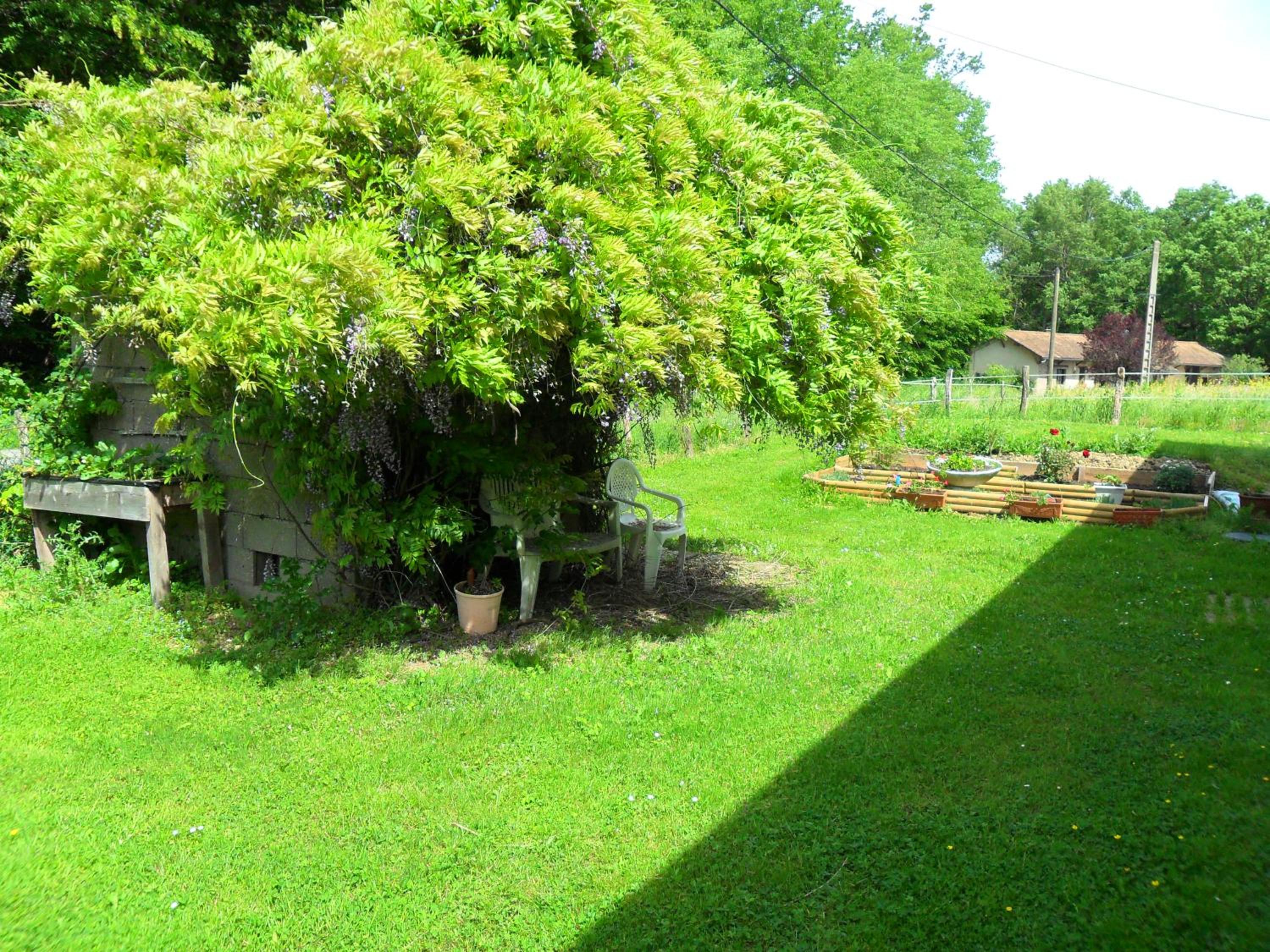 Photo 24