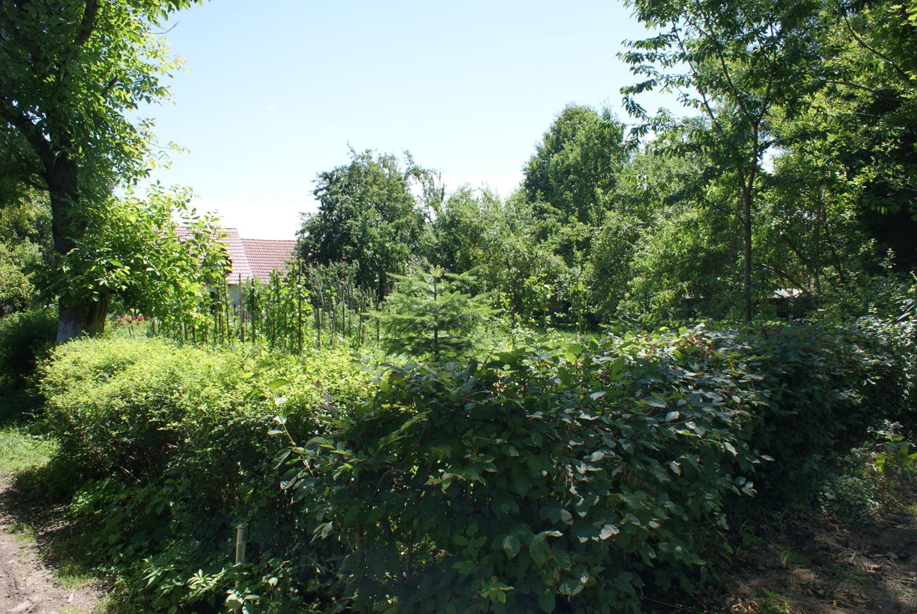 Photo 23