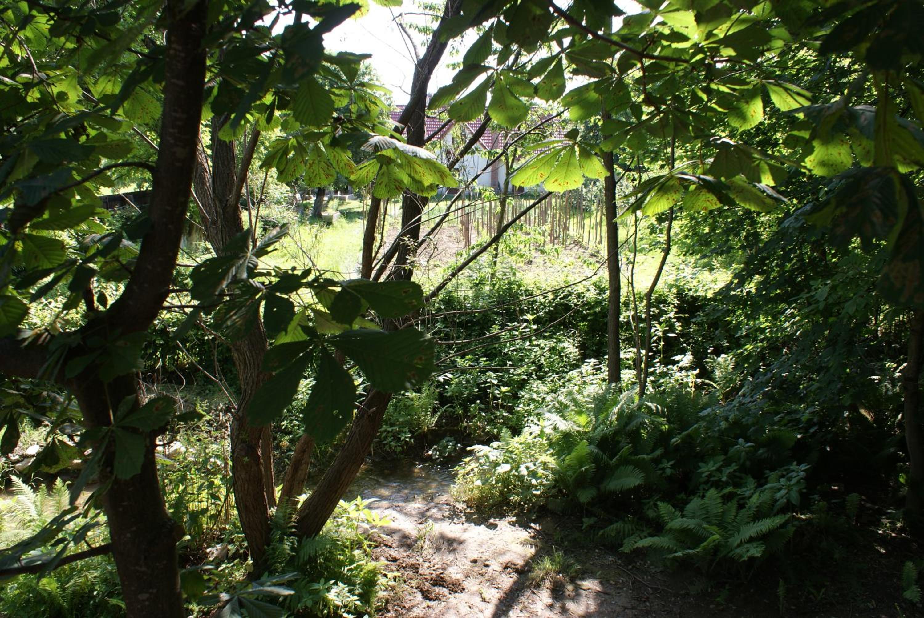 Photo 24