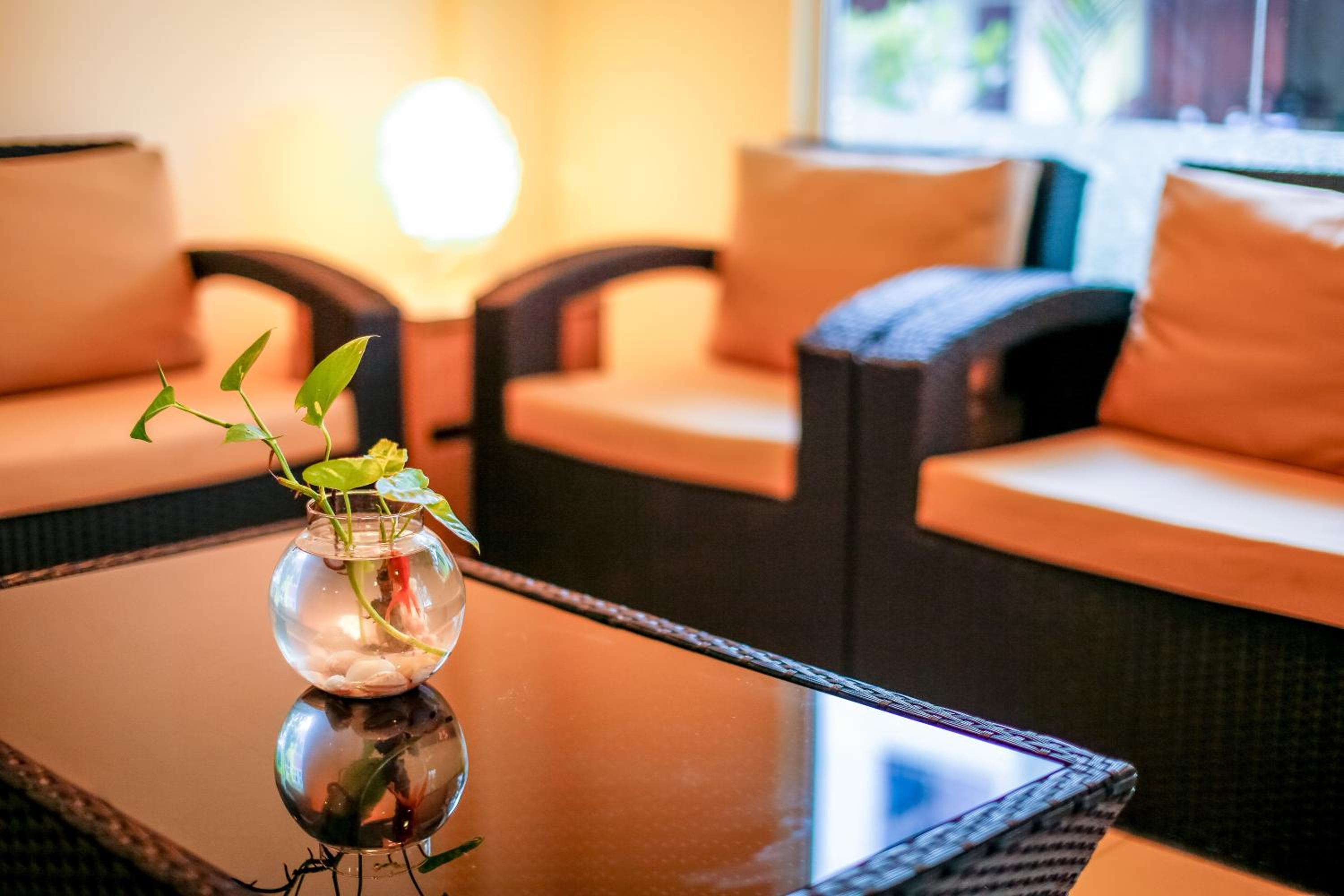 Beach Grand & Spa Premium view 5