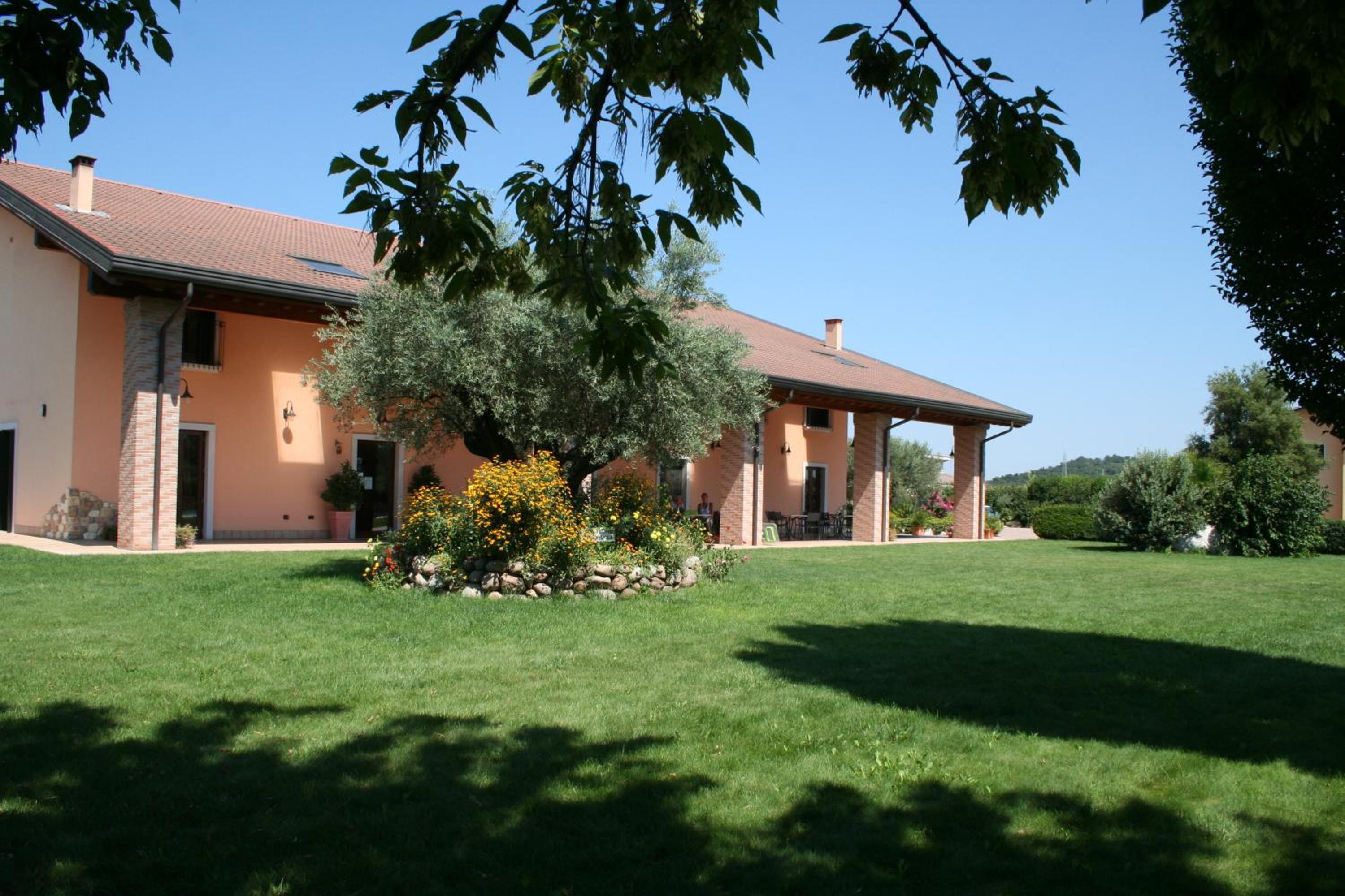 Photo 7