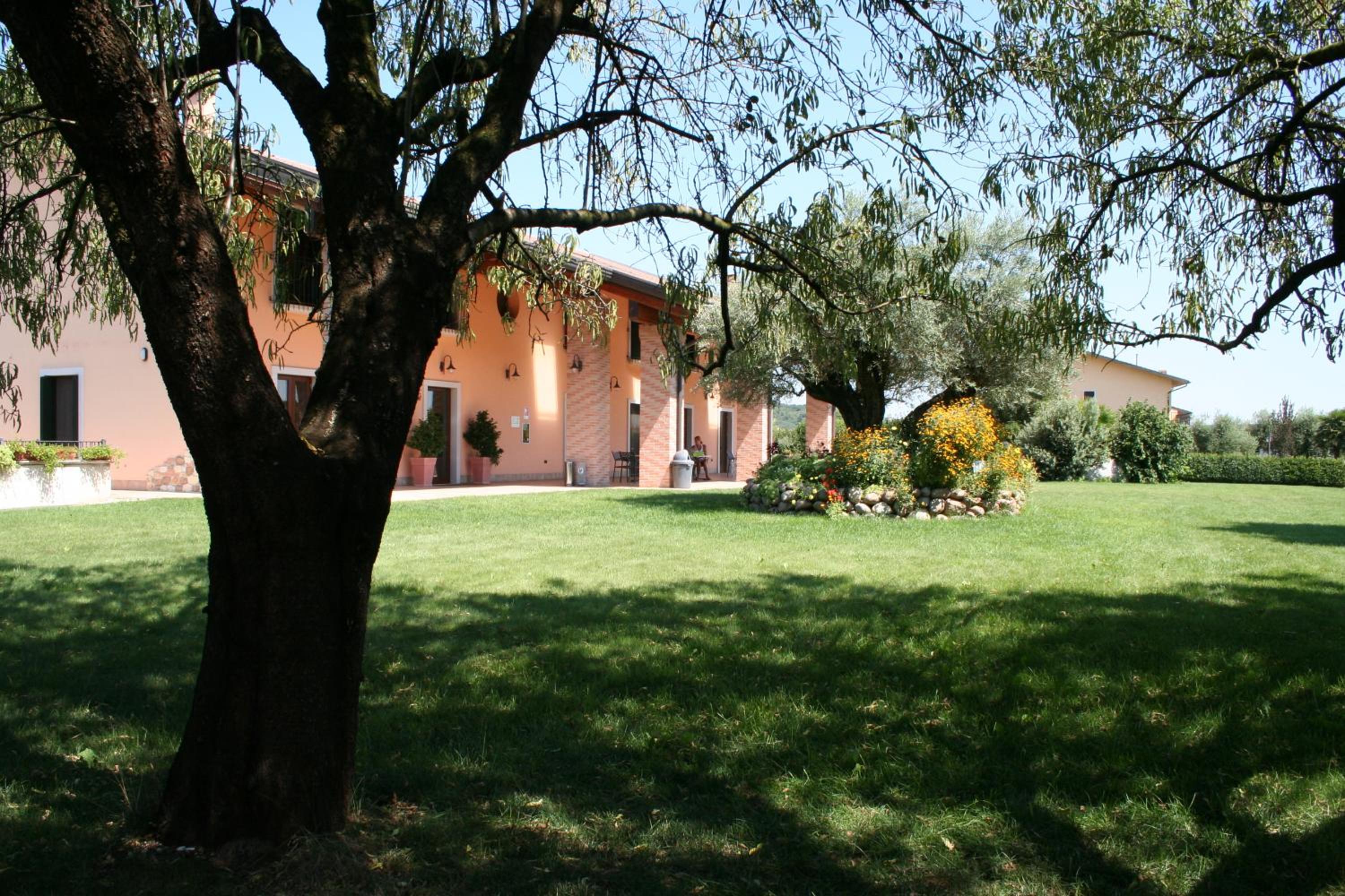 Photo 8