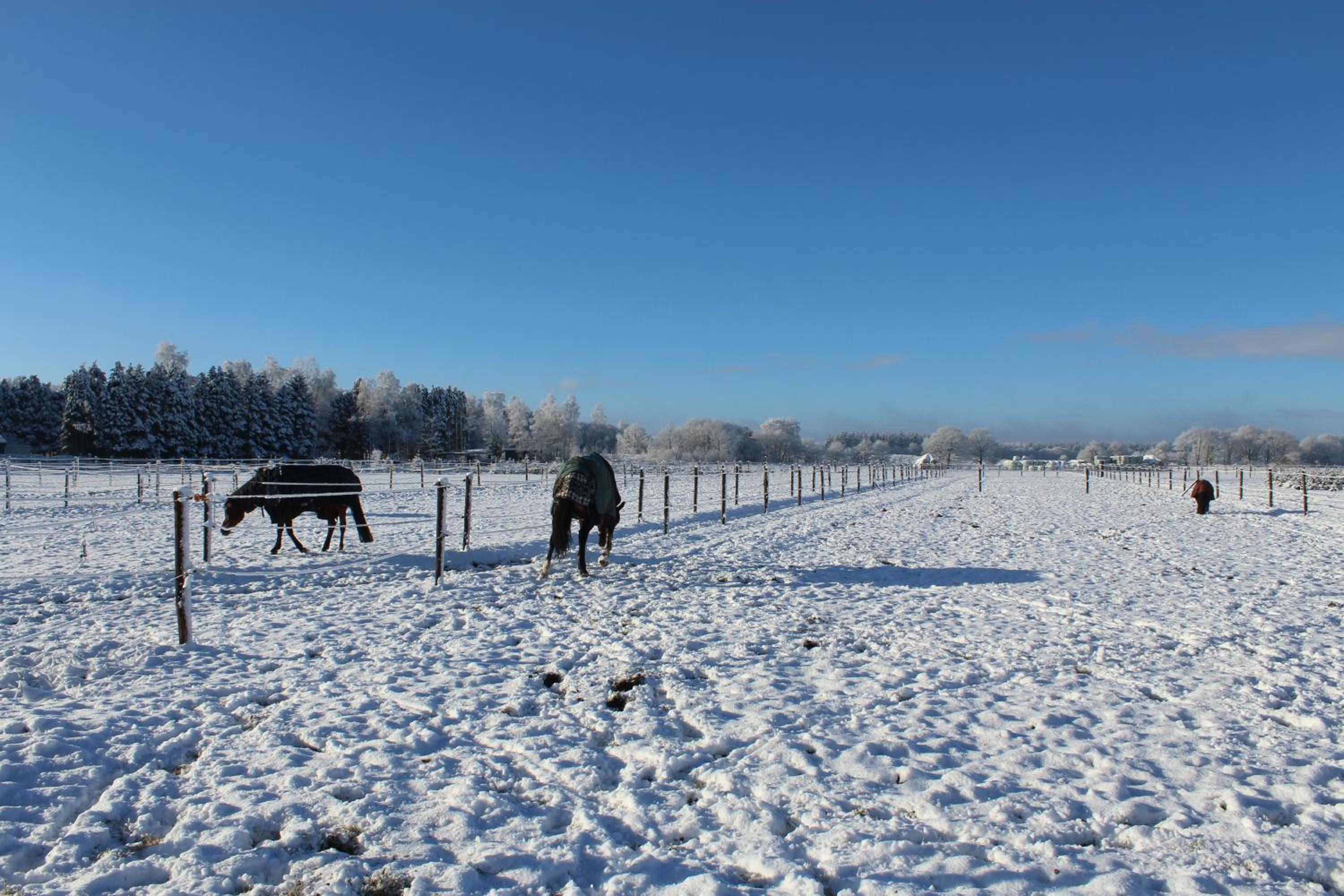 't Hoeske view 2