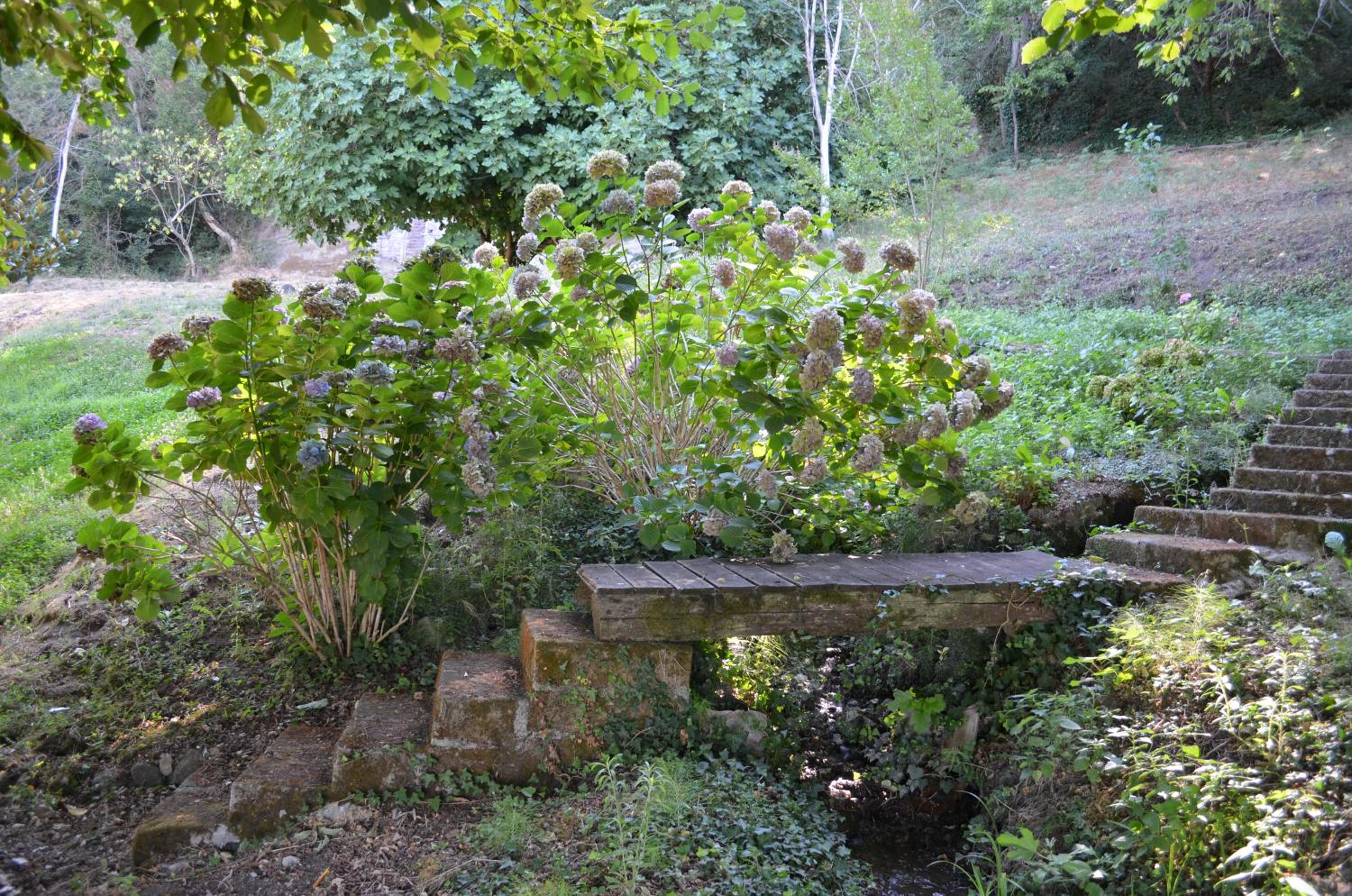 Photo 29