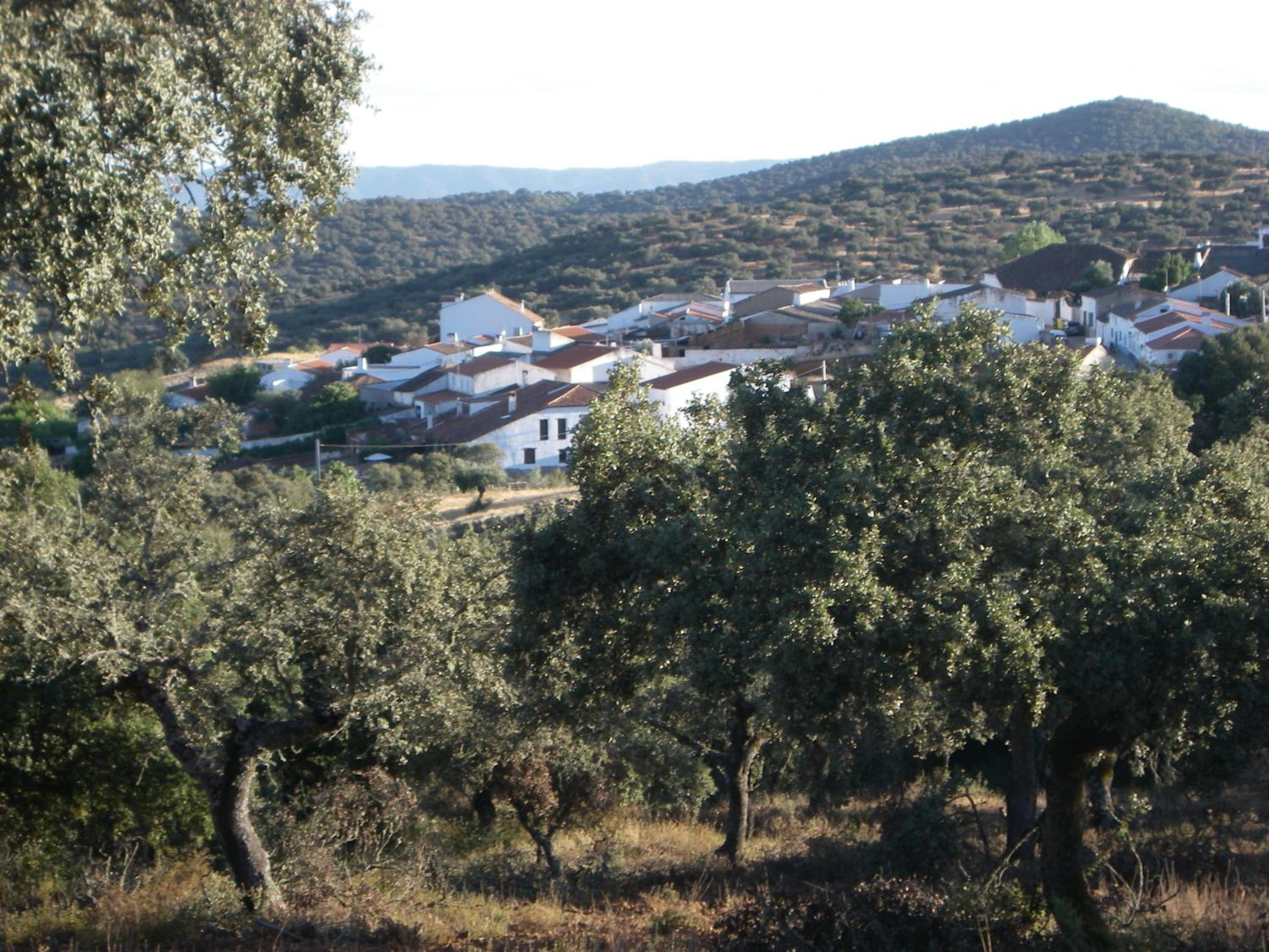 Vivienda Turística Alojamiento Rural EL Trillo view 3