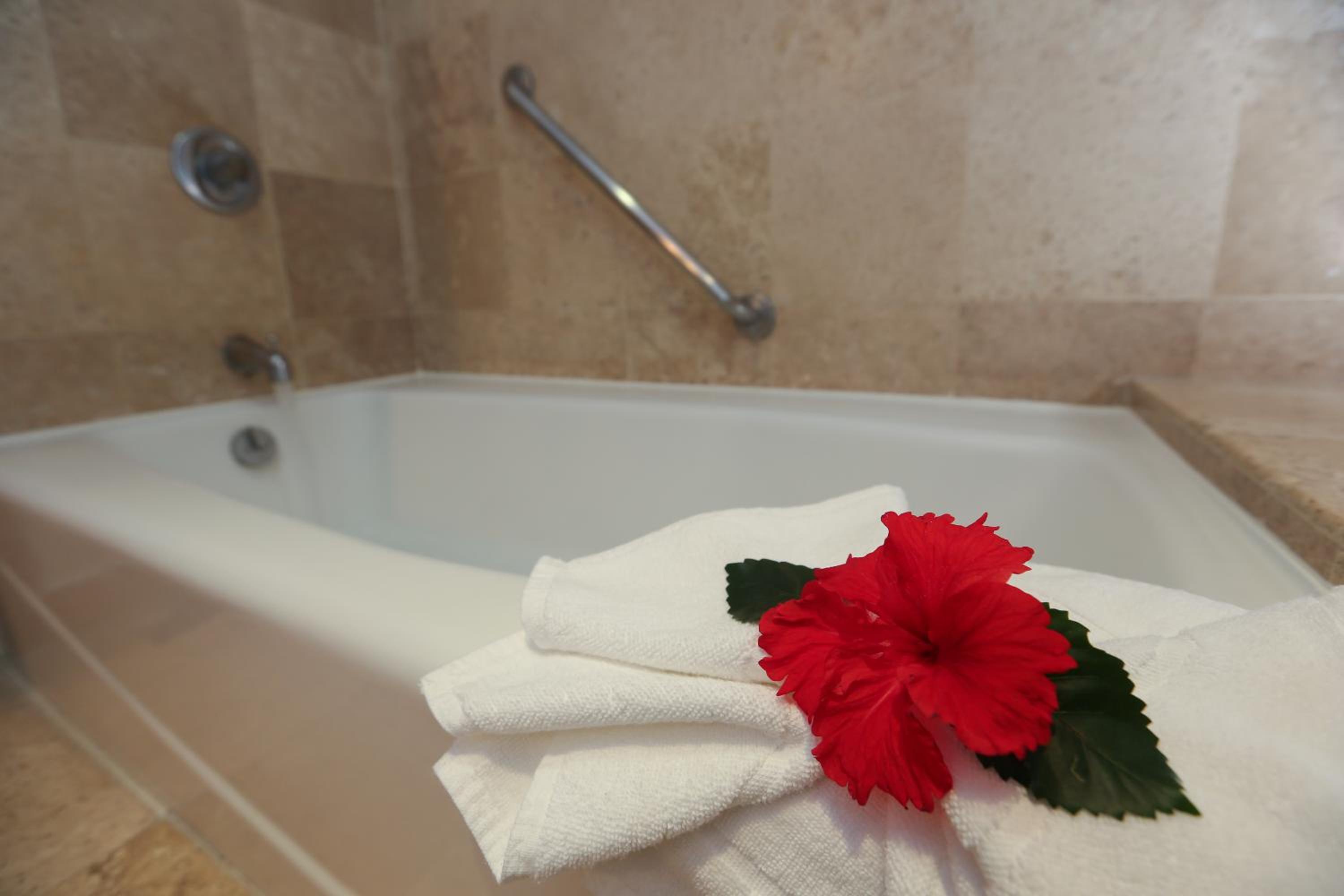 Azul Ixtapa All Inclusive Resort