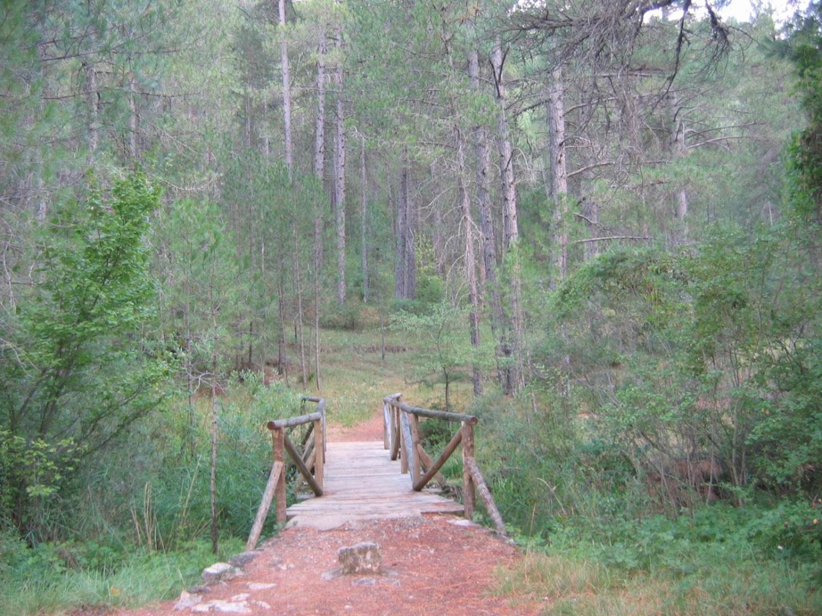 Photo 40