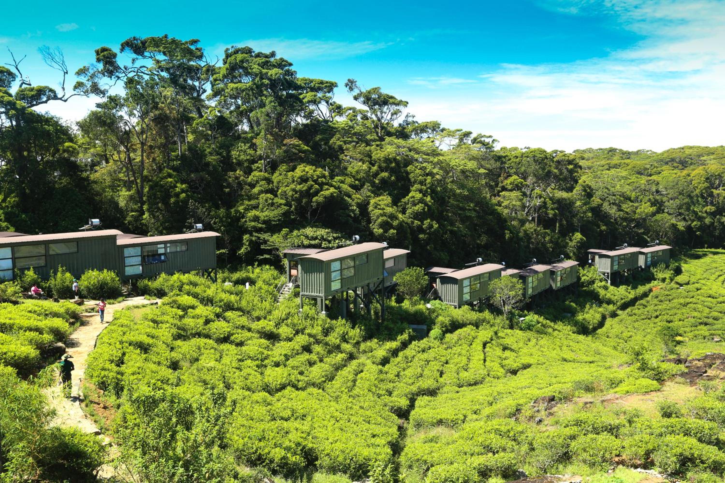 The Rainforest Ecolodge - Sinharaja with Shuttle Service from Car Park view 4