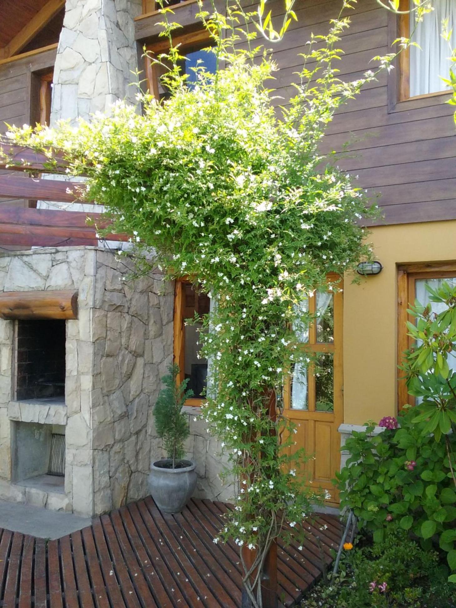Rayen Mapu