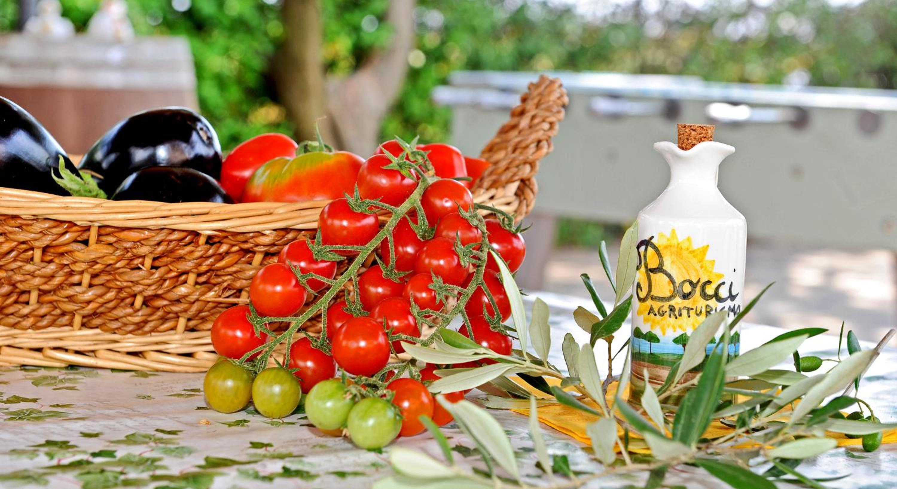 Agriturismo Bocci