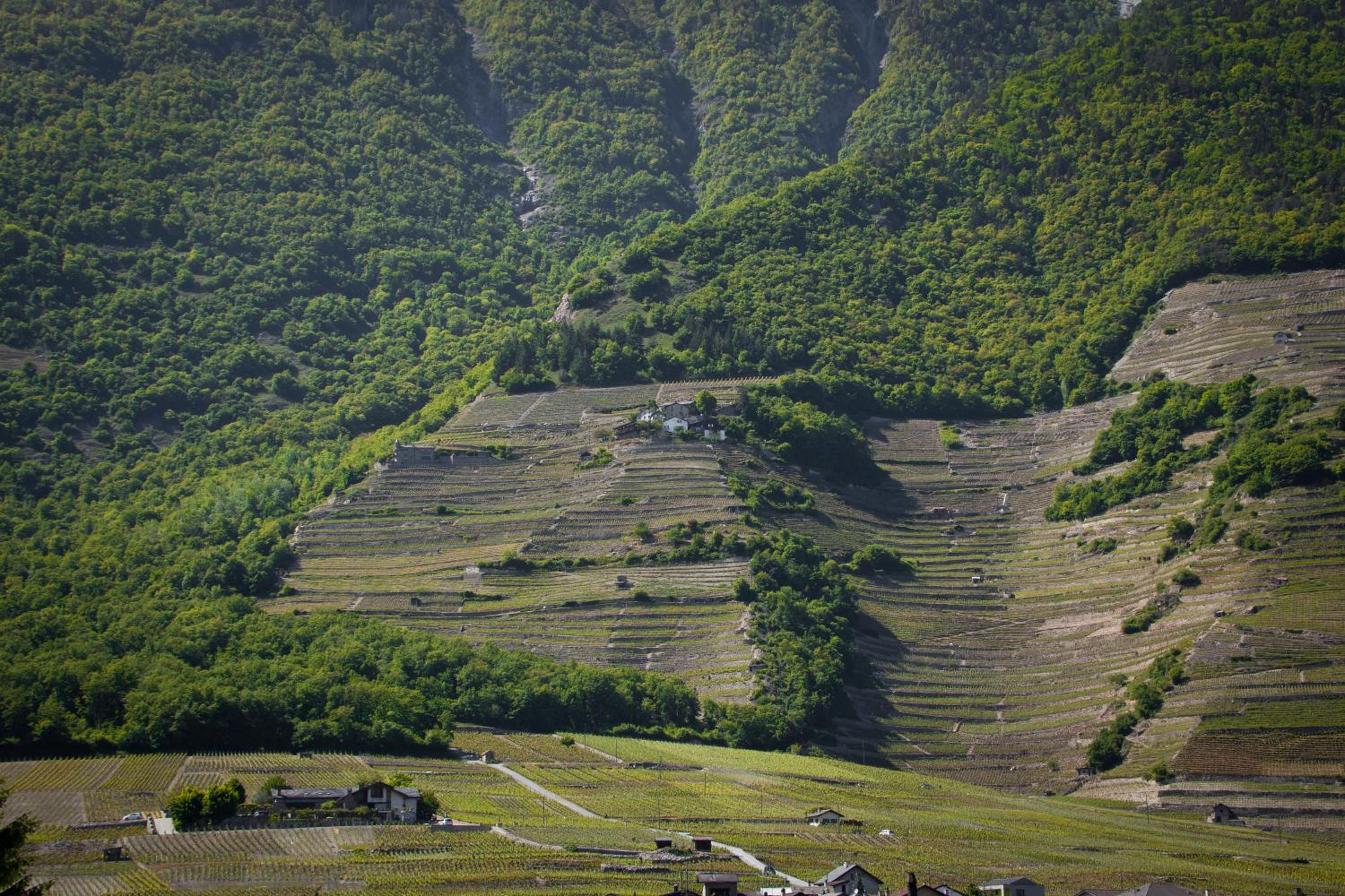 Le Petit Beurre de cacahuète et Le Poivre et Sel view 4