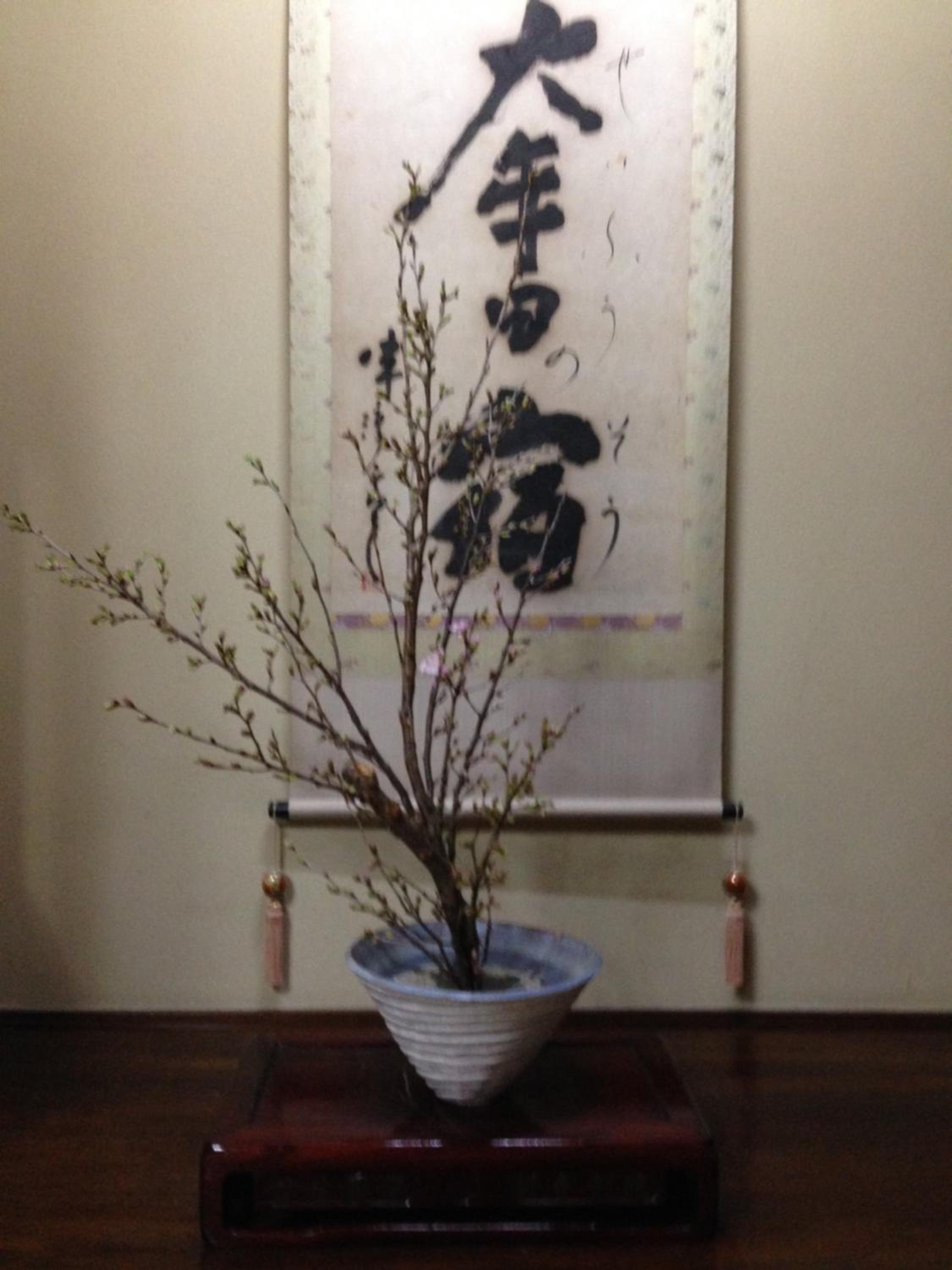 Photo 53