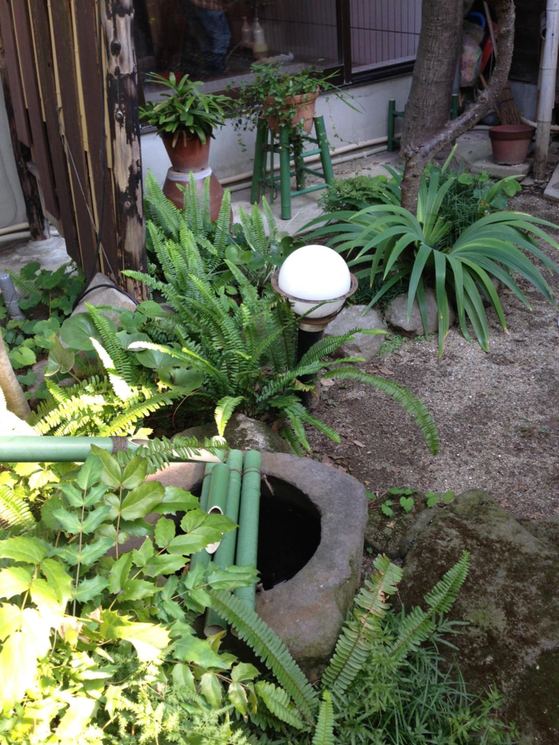 Photo 52