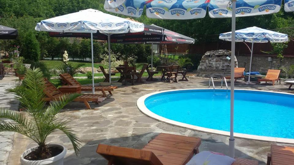 Guest House 