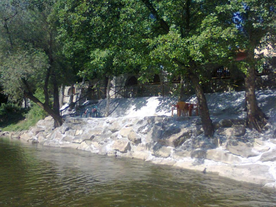 Guest House 