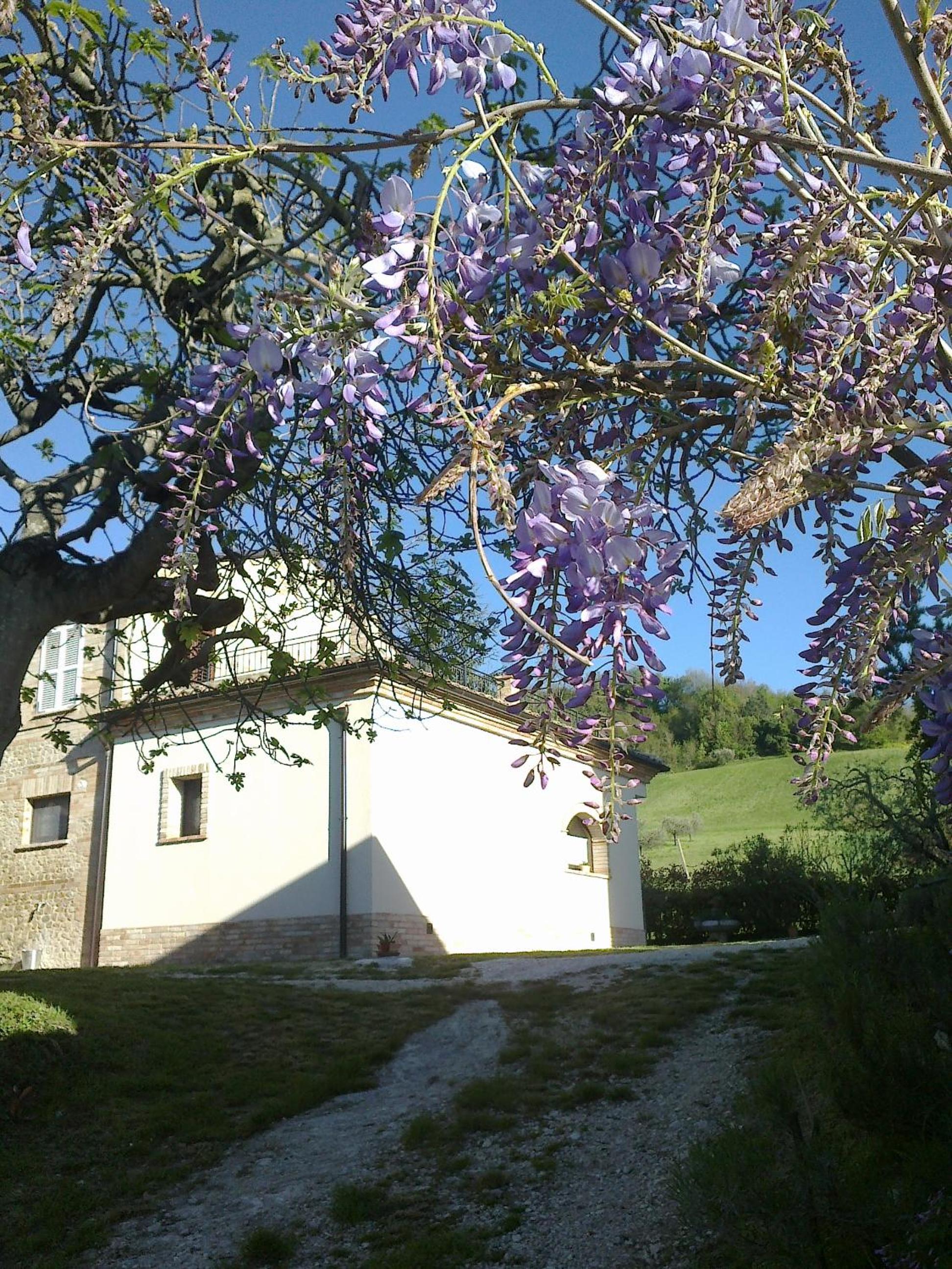Agriturismo Fonte Carra
