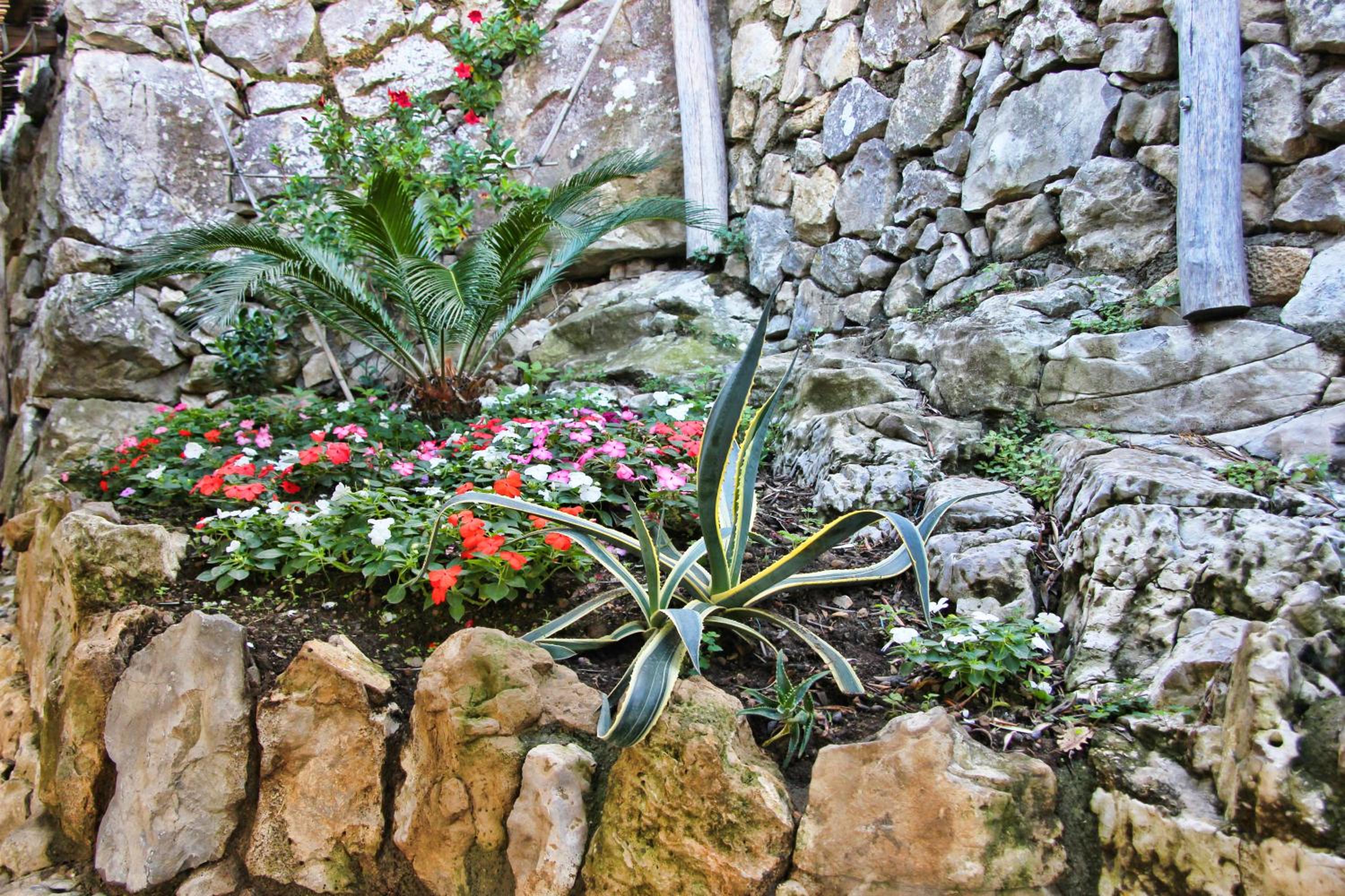 Photo 6