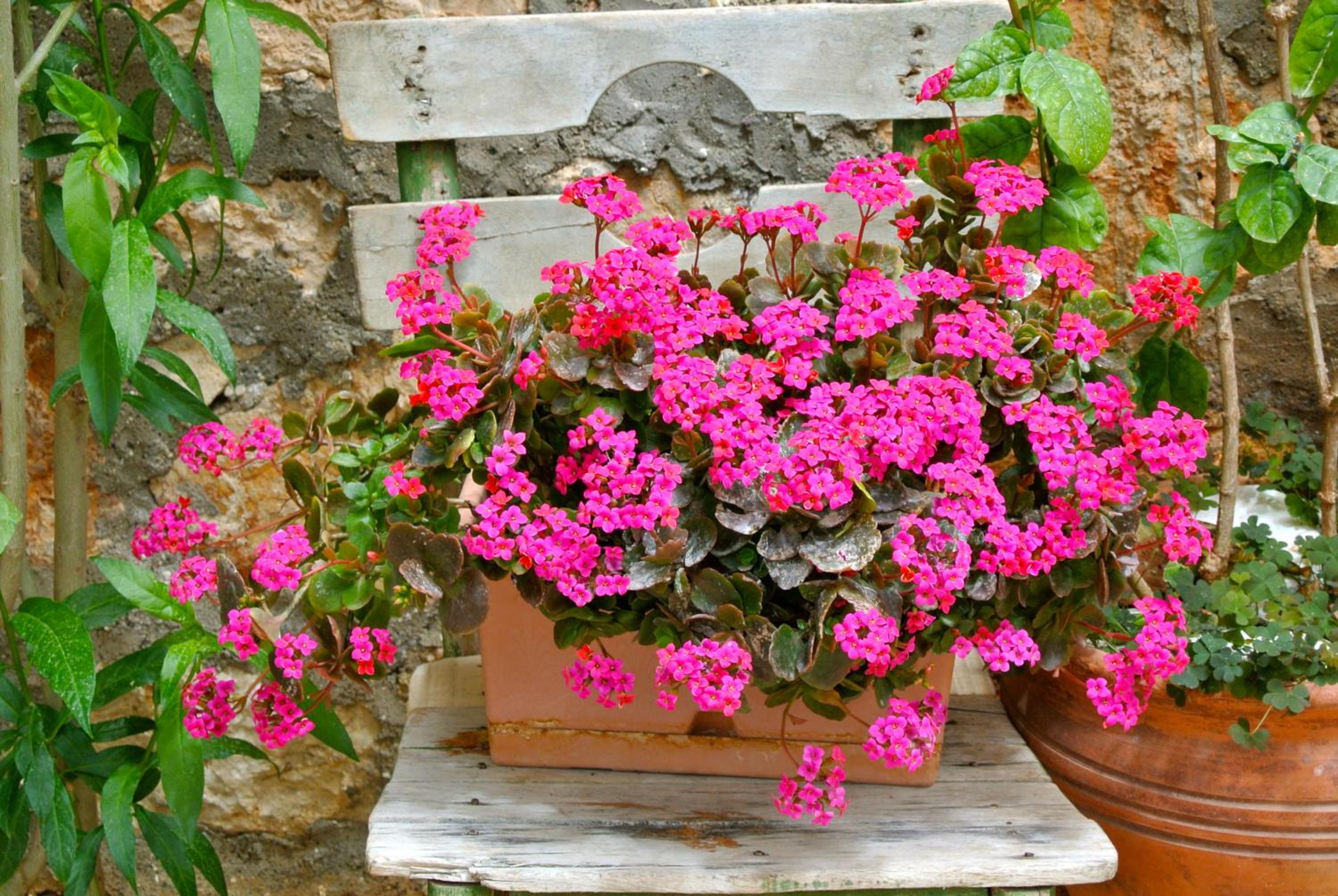 Hideaway - Image 158