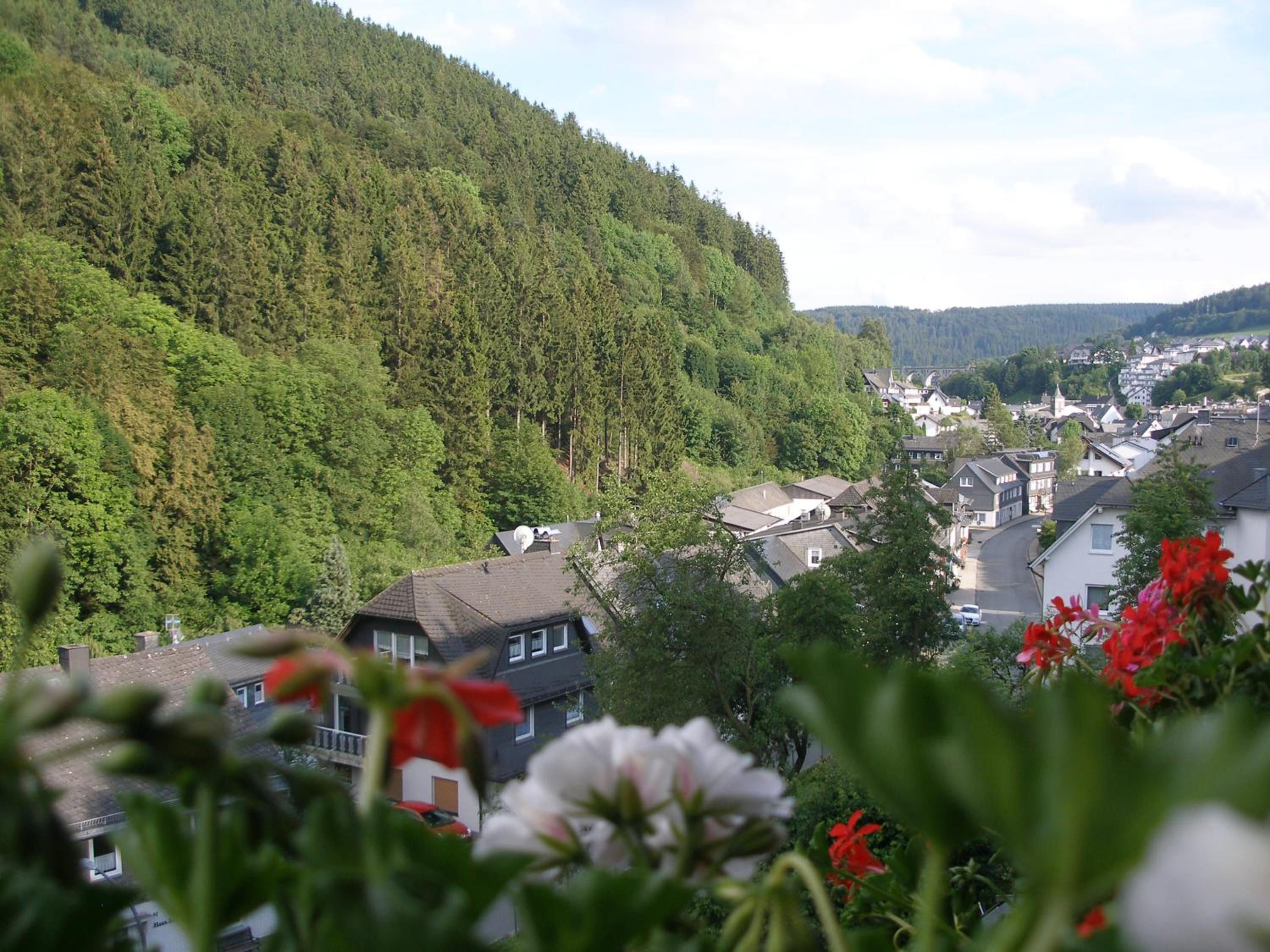Pension Haus Waldfrieden, MeineCardPlus inklusive