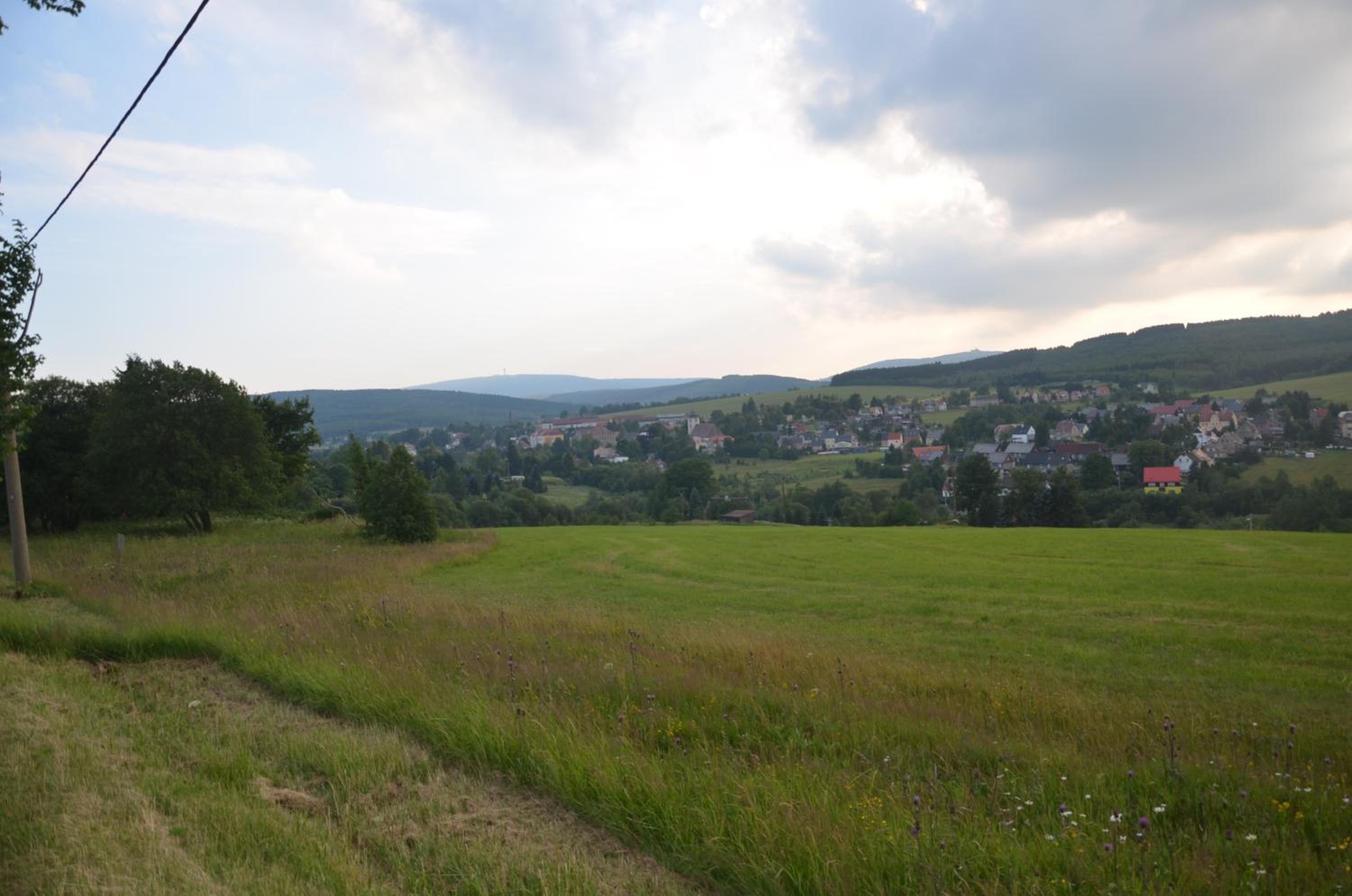 Photo 38