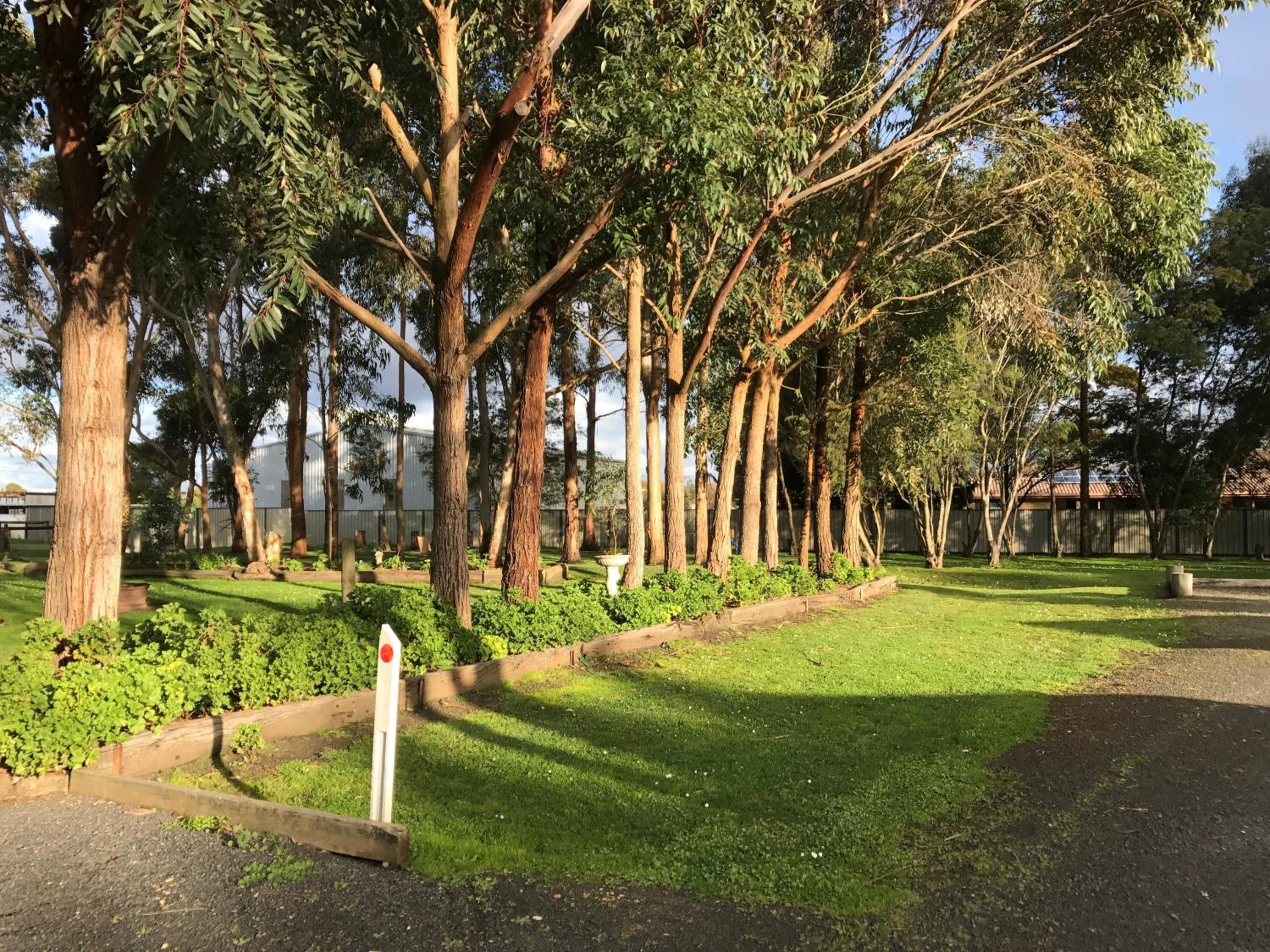 Pinewood Caravan Park view 2